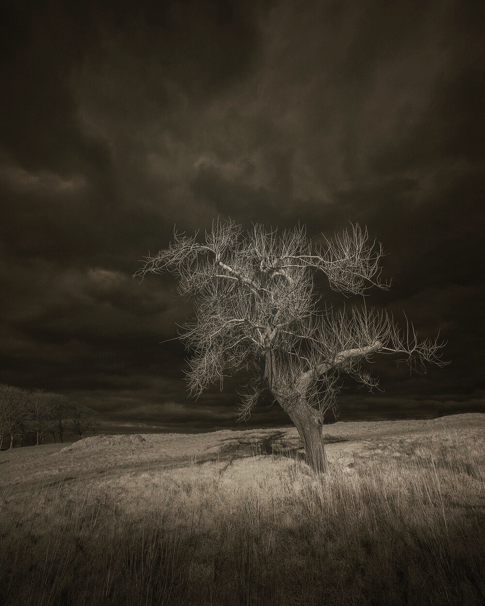 Dark Skies