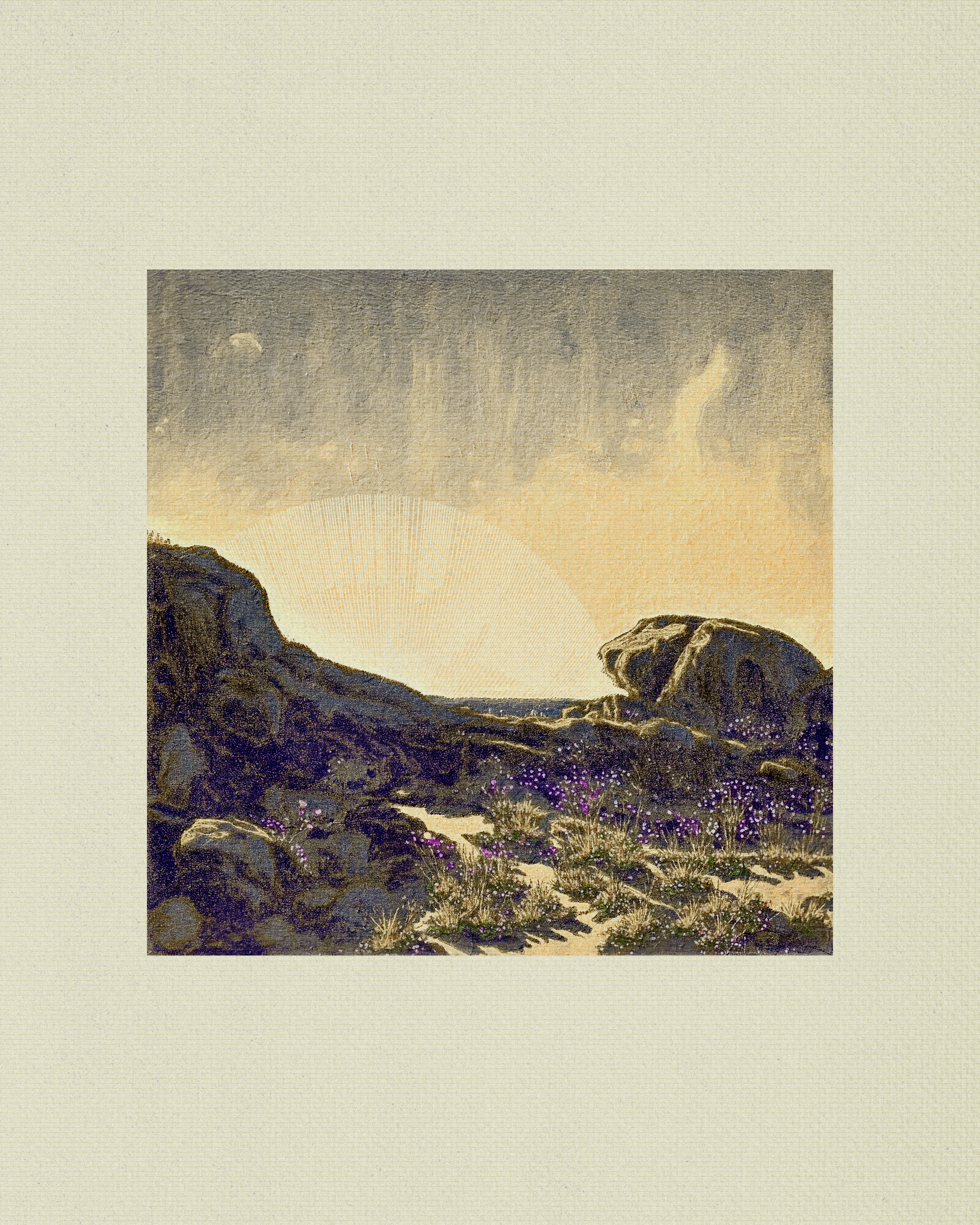 Coast #89