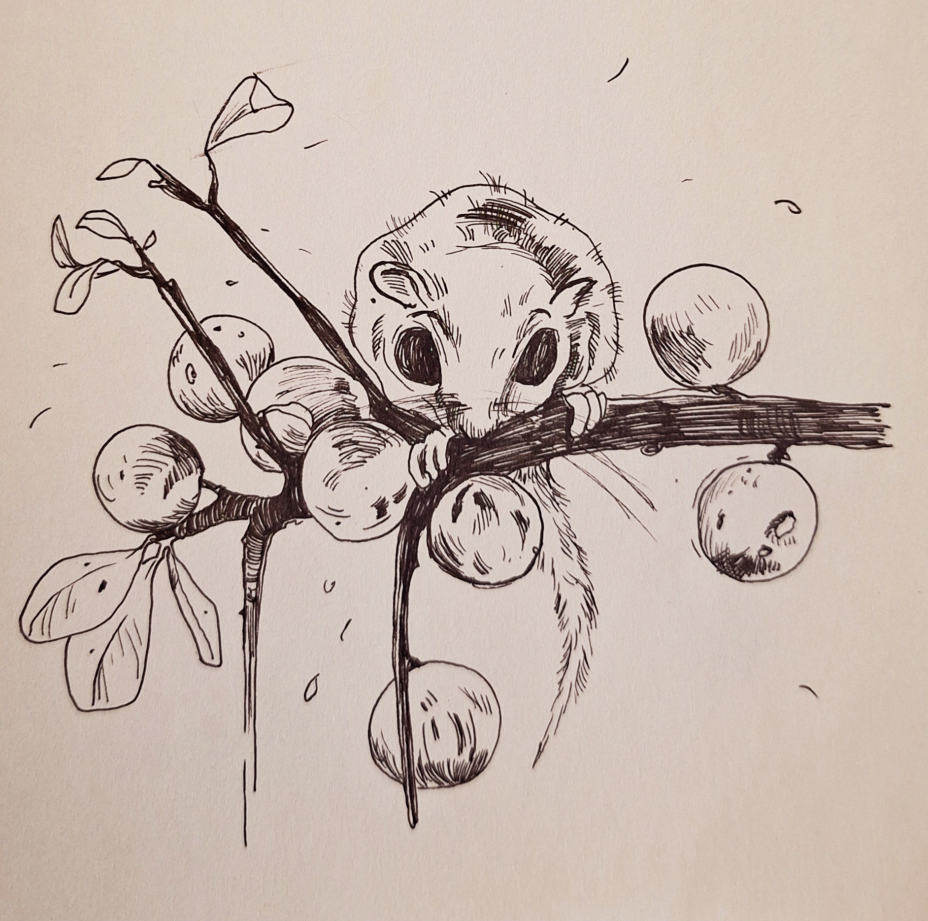 Sketch2 #12