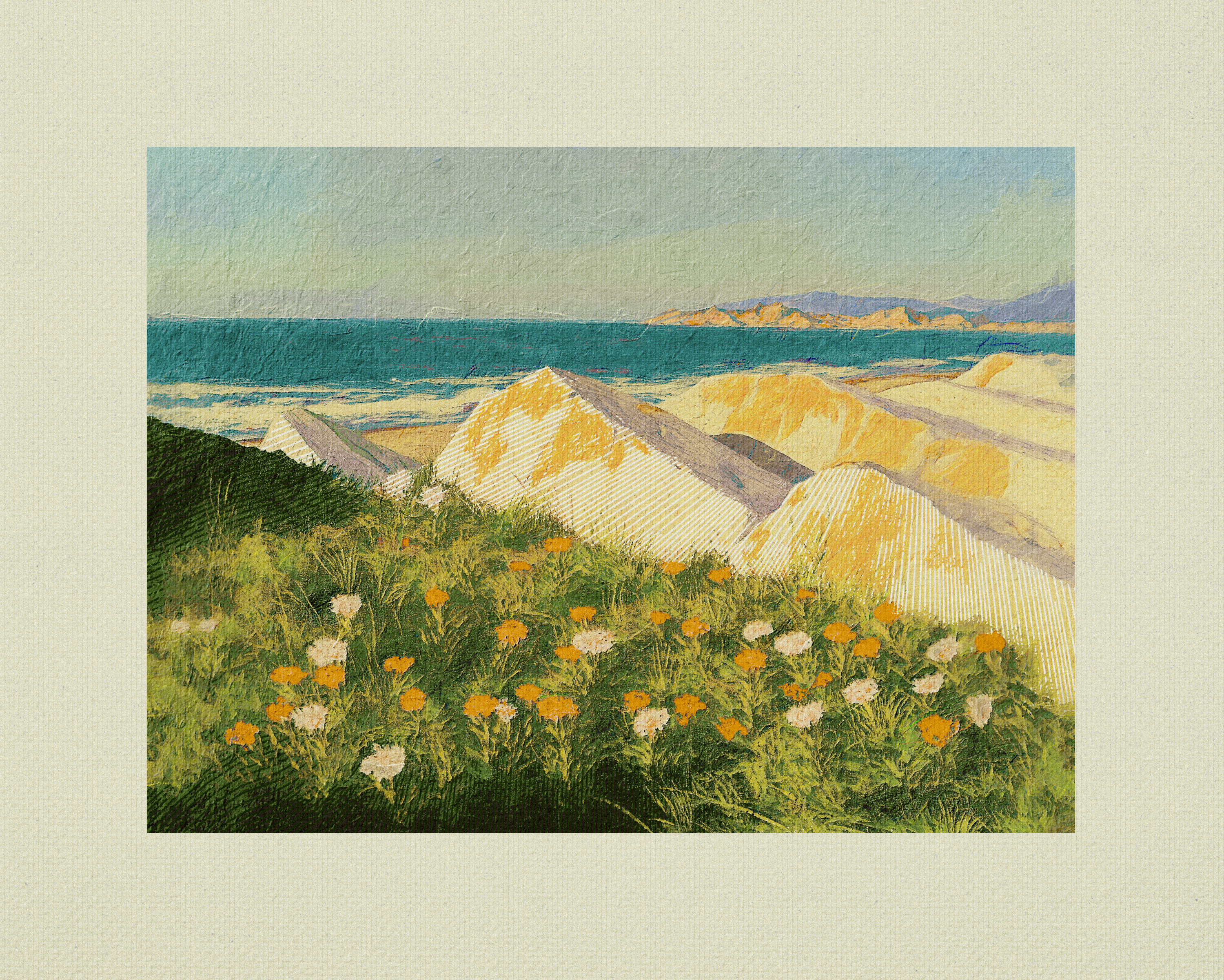 Coast #66