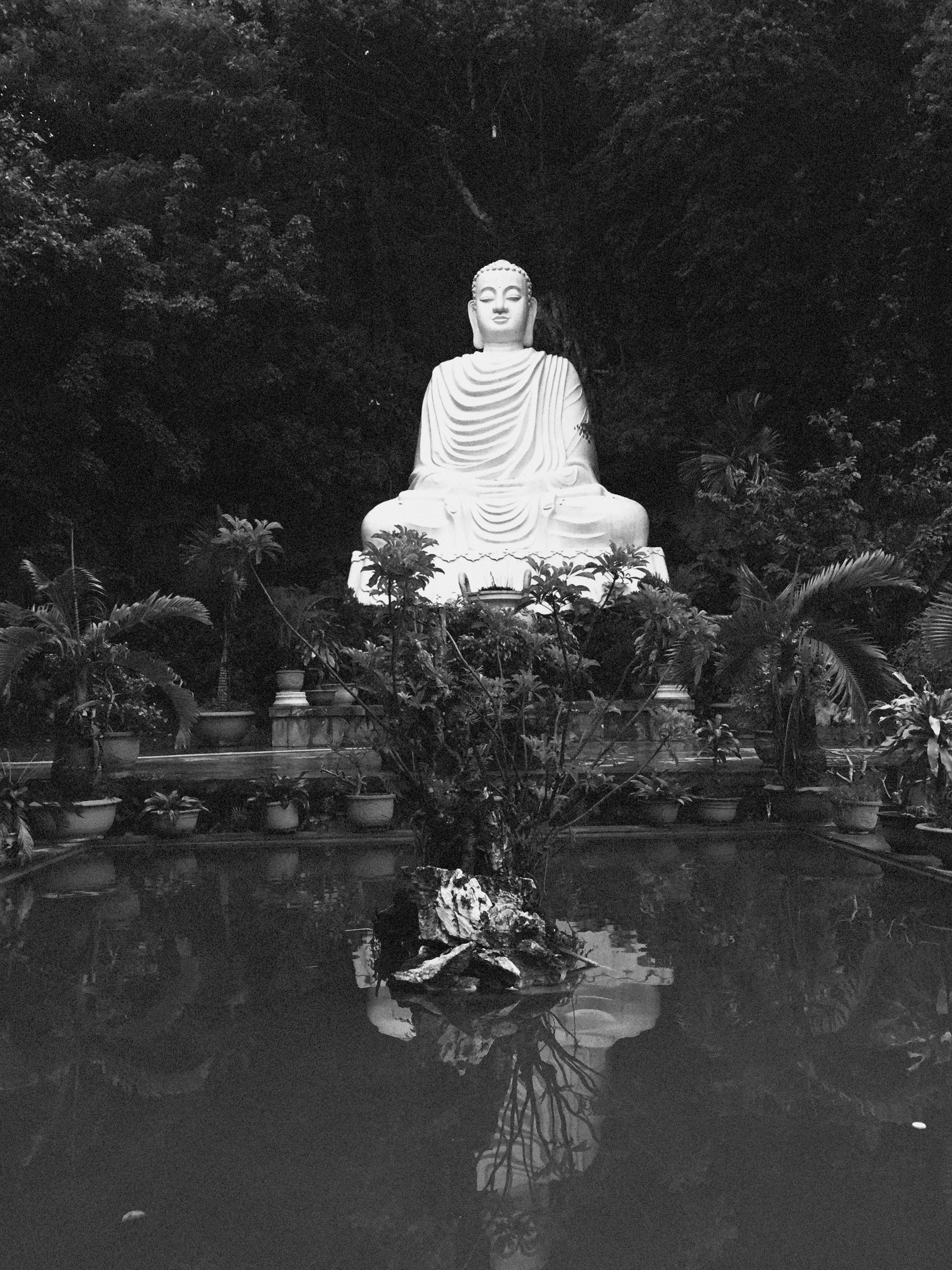 BnW Film Emulation #5