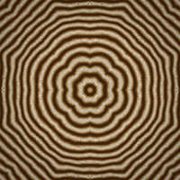 FlowSigil #344