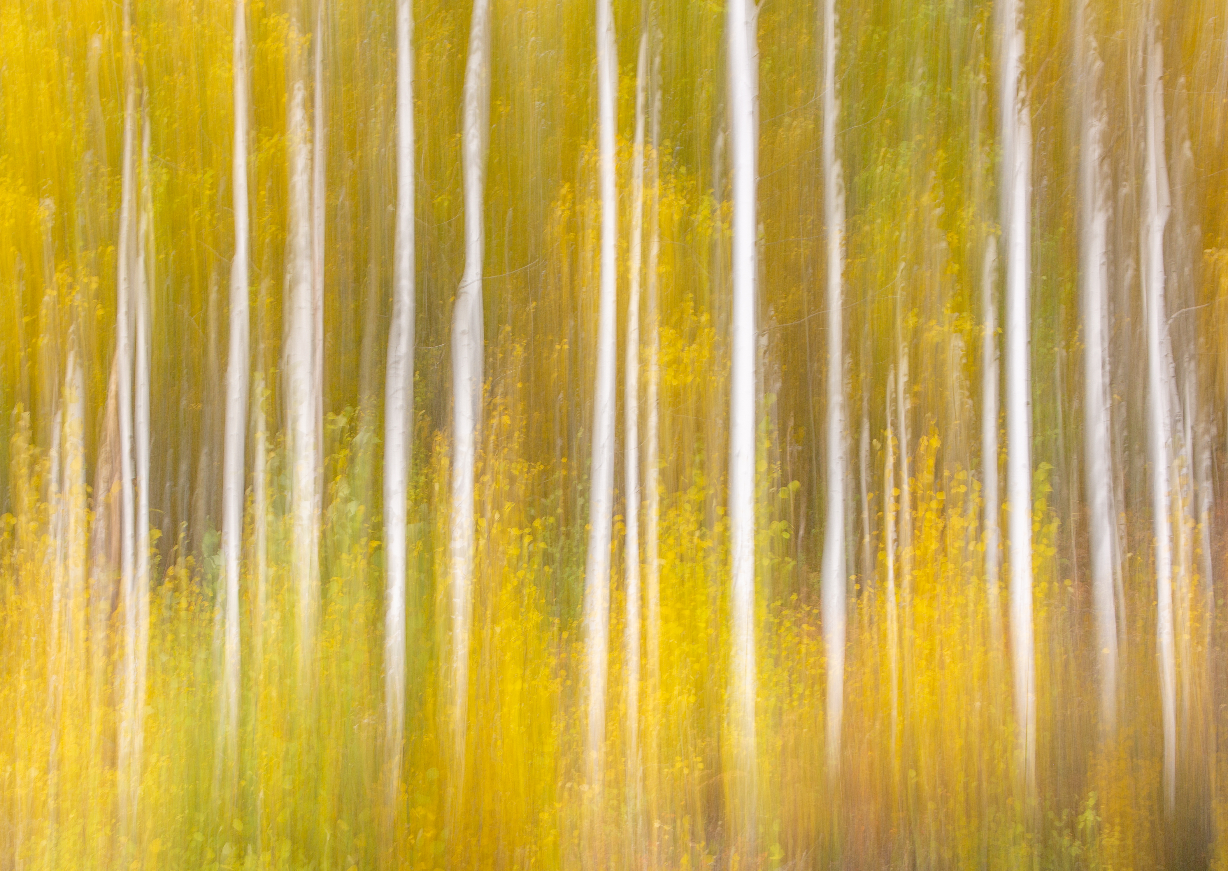 Aspen in Abstract