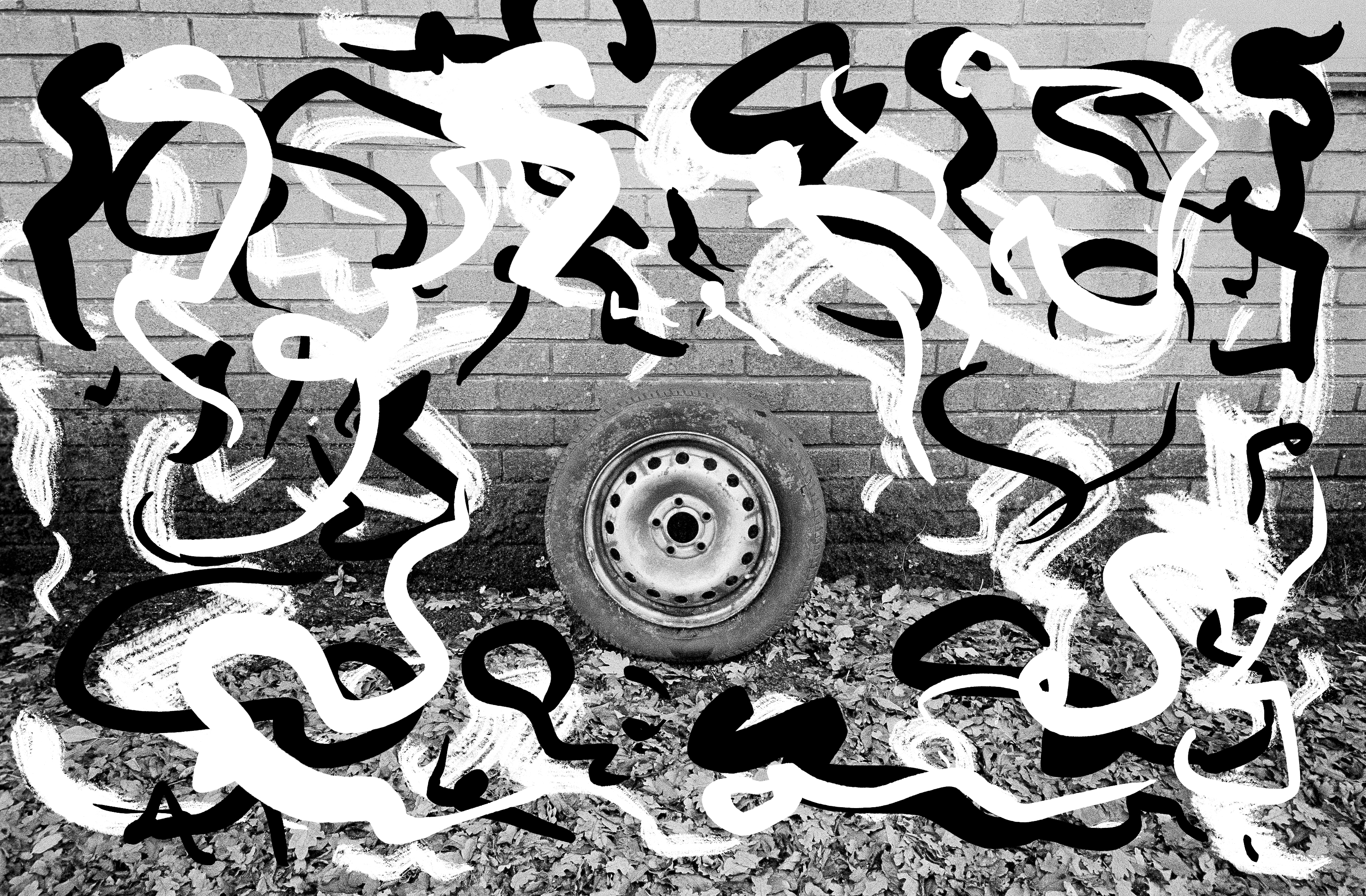 wheel of fate