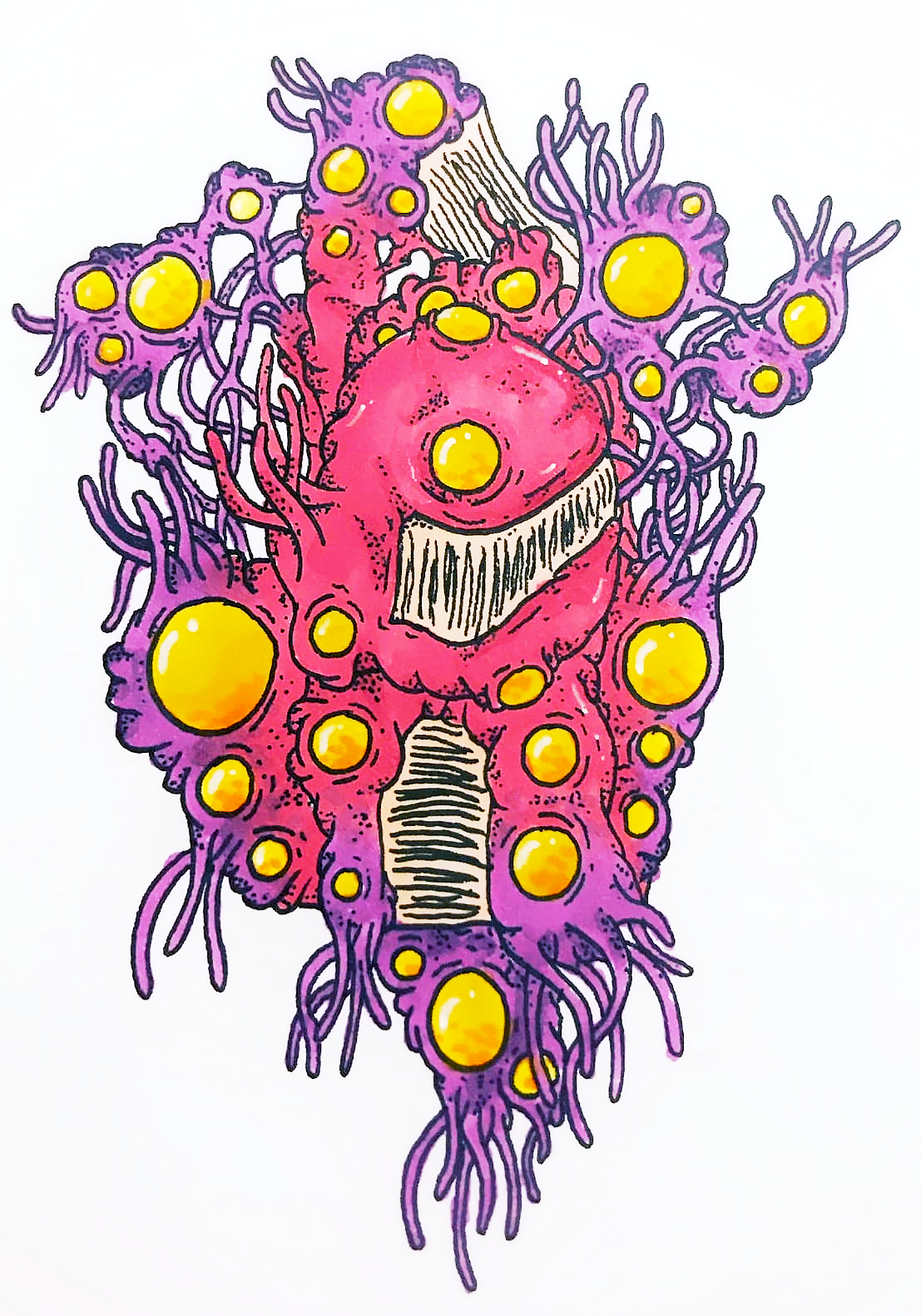 Blob