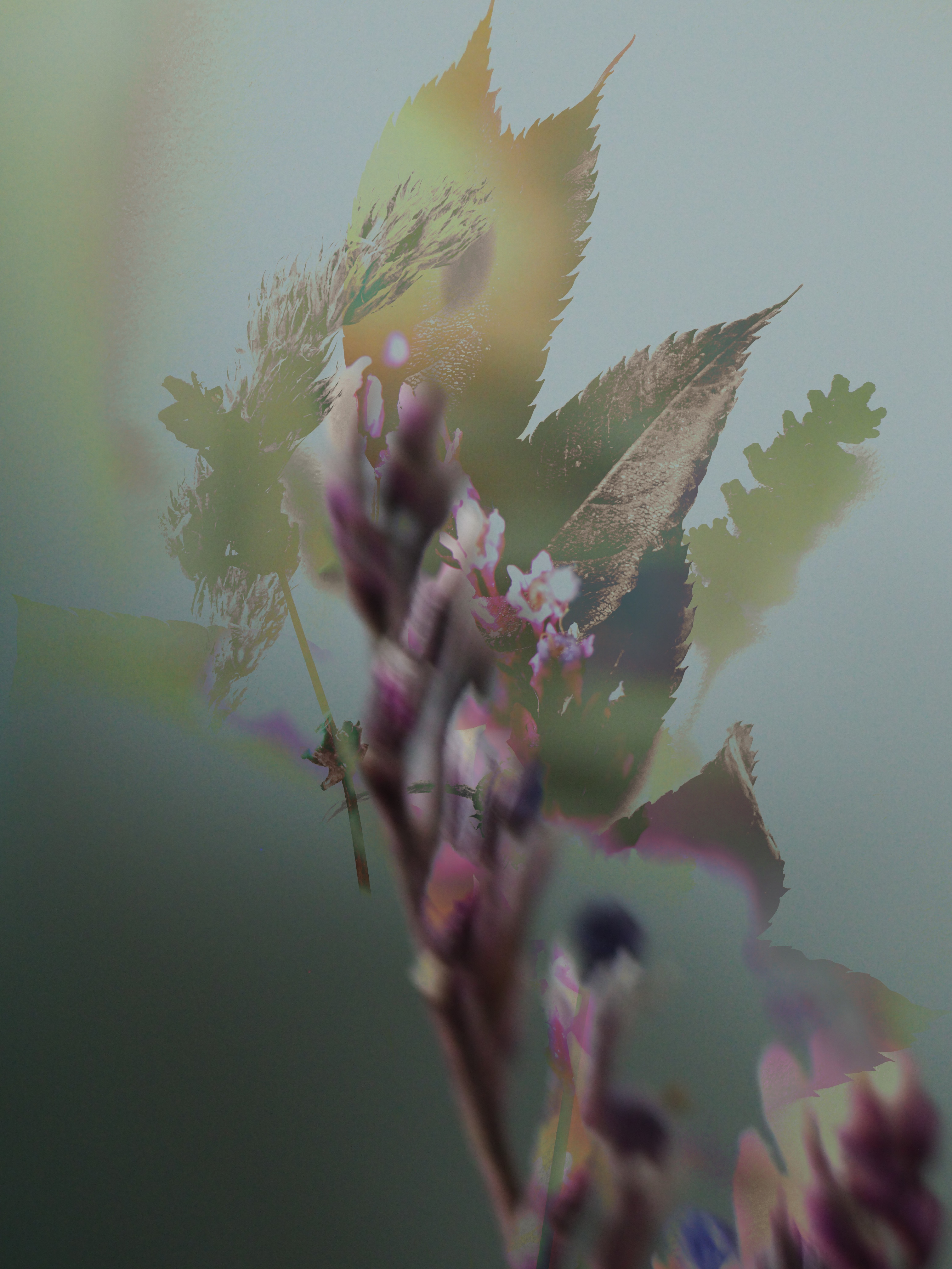 The Little Things #14