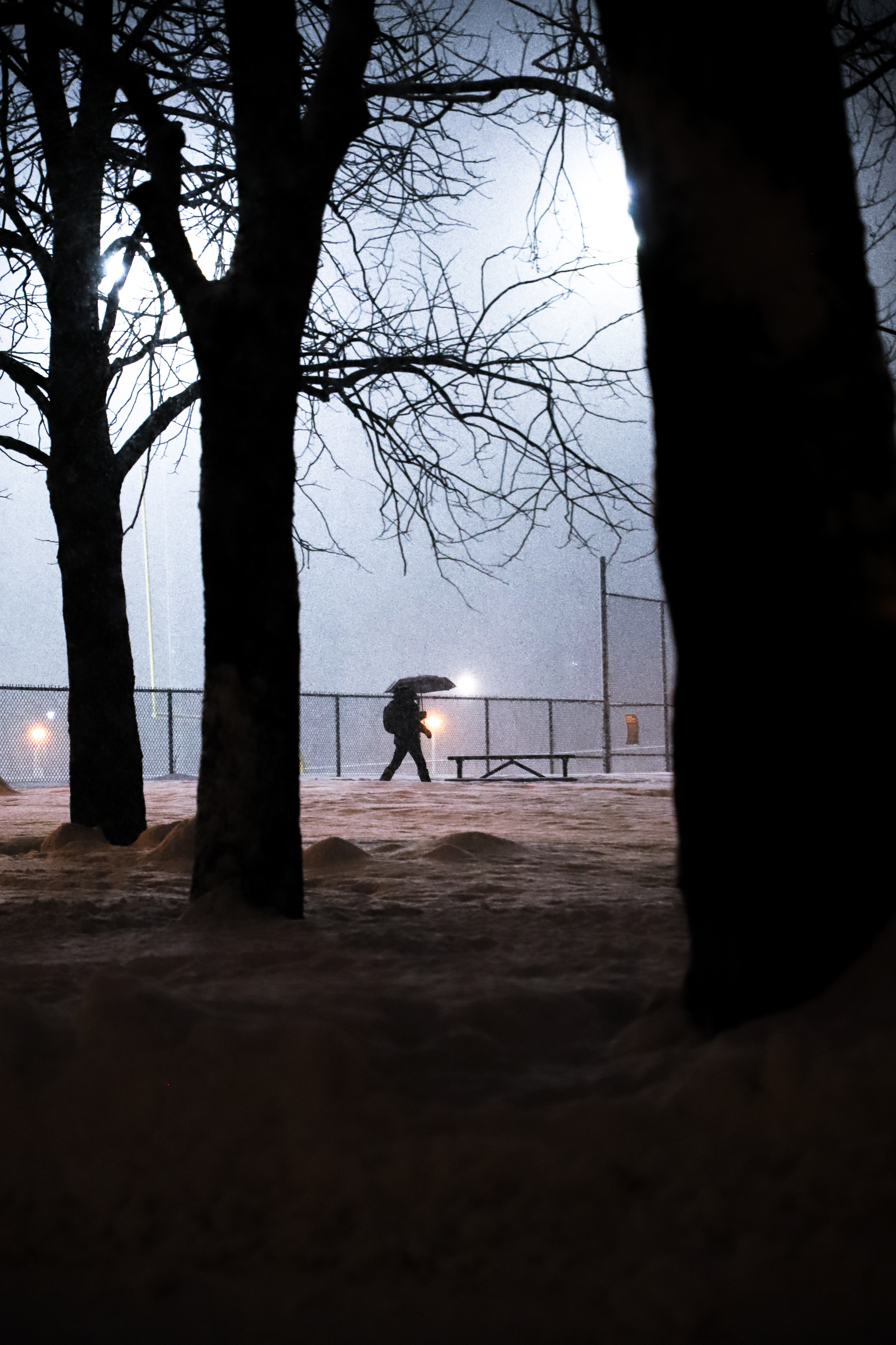 Wintryscape #4
