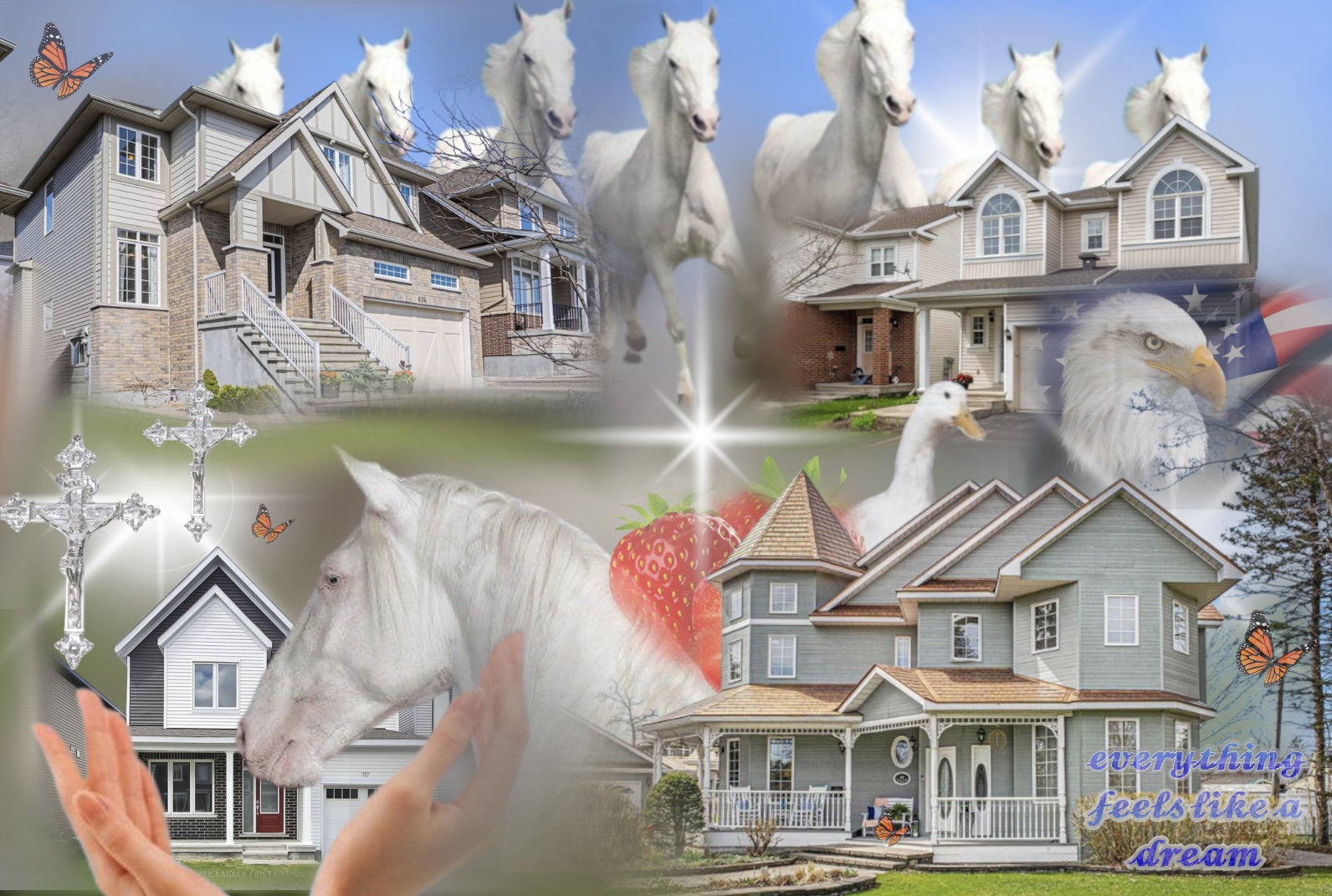 suburban fever dream