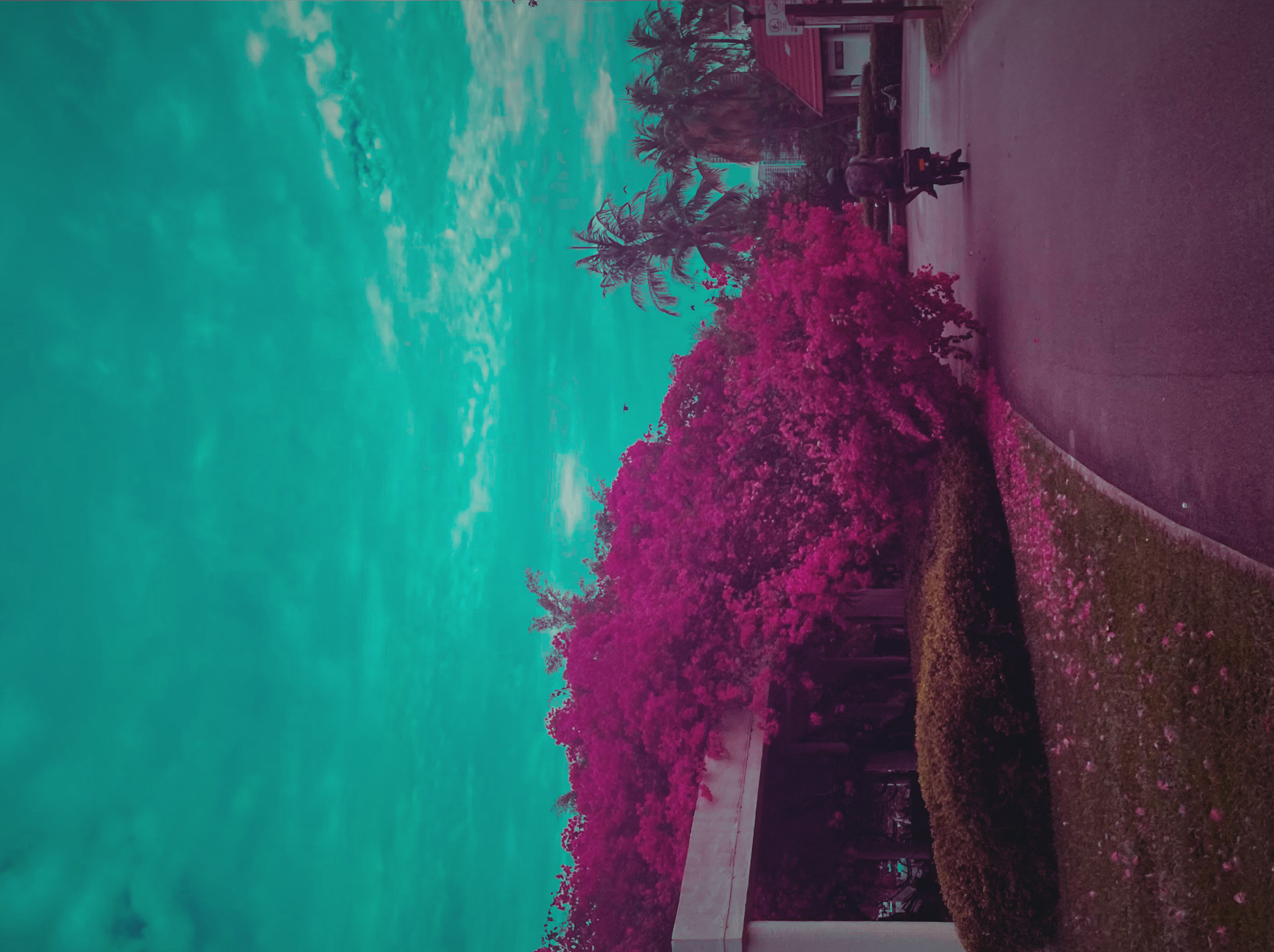 Neon Art Daily -  12 sept 24