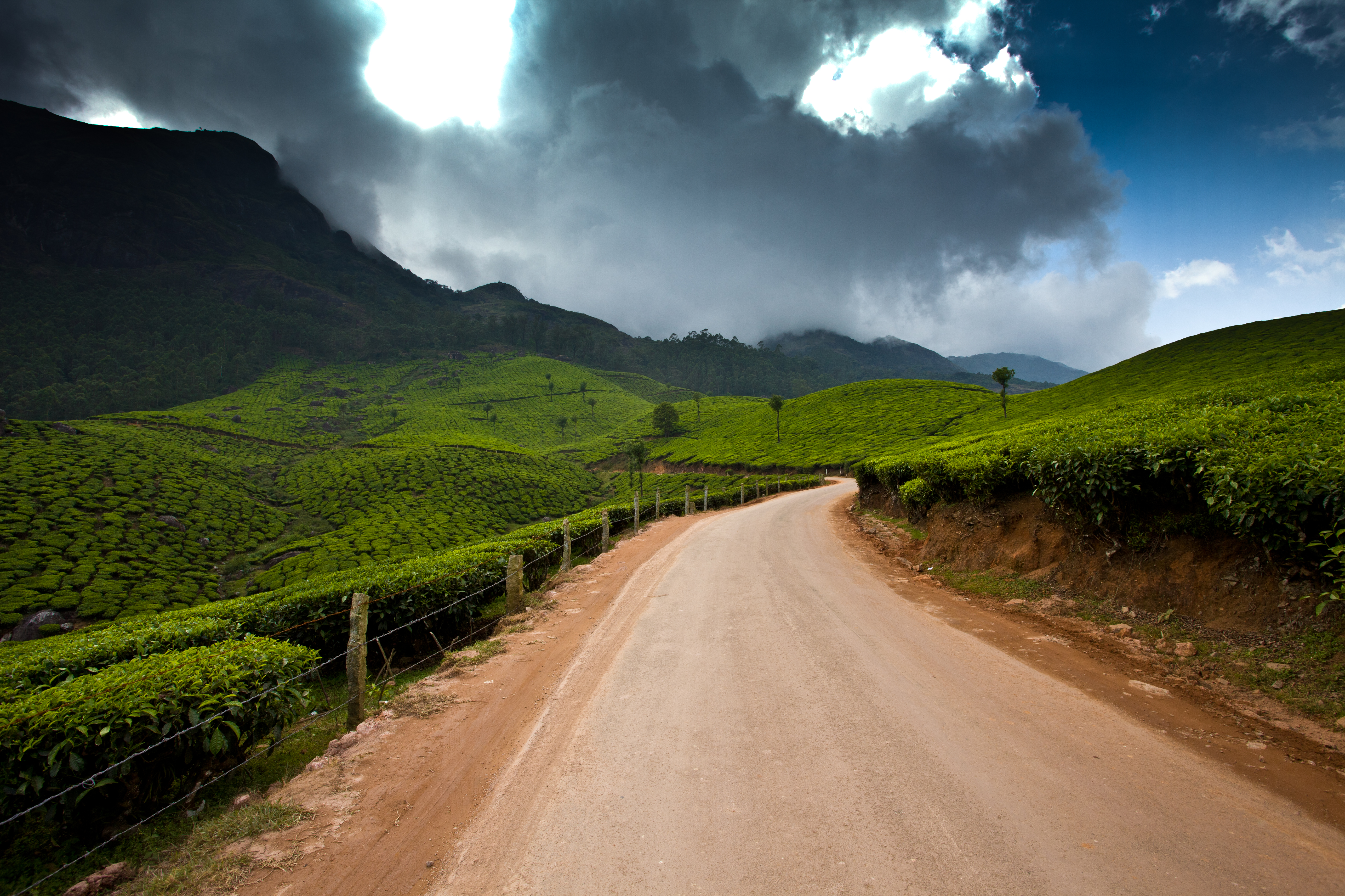 The scenic, winding roads of Munnar