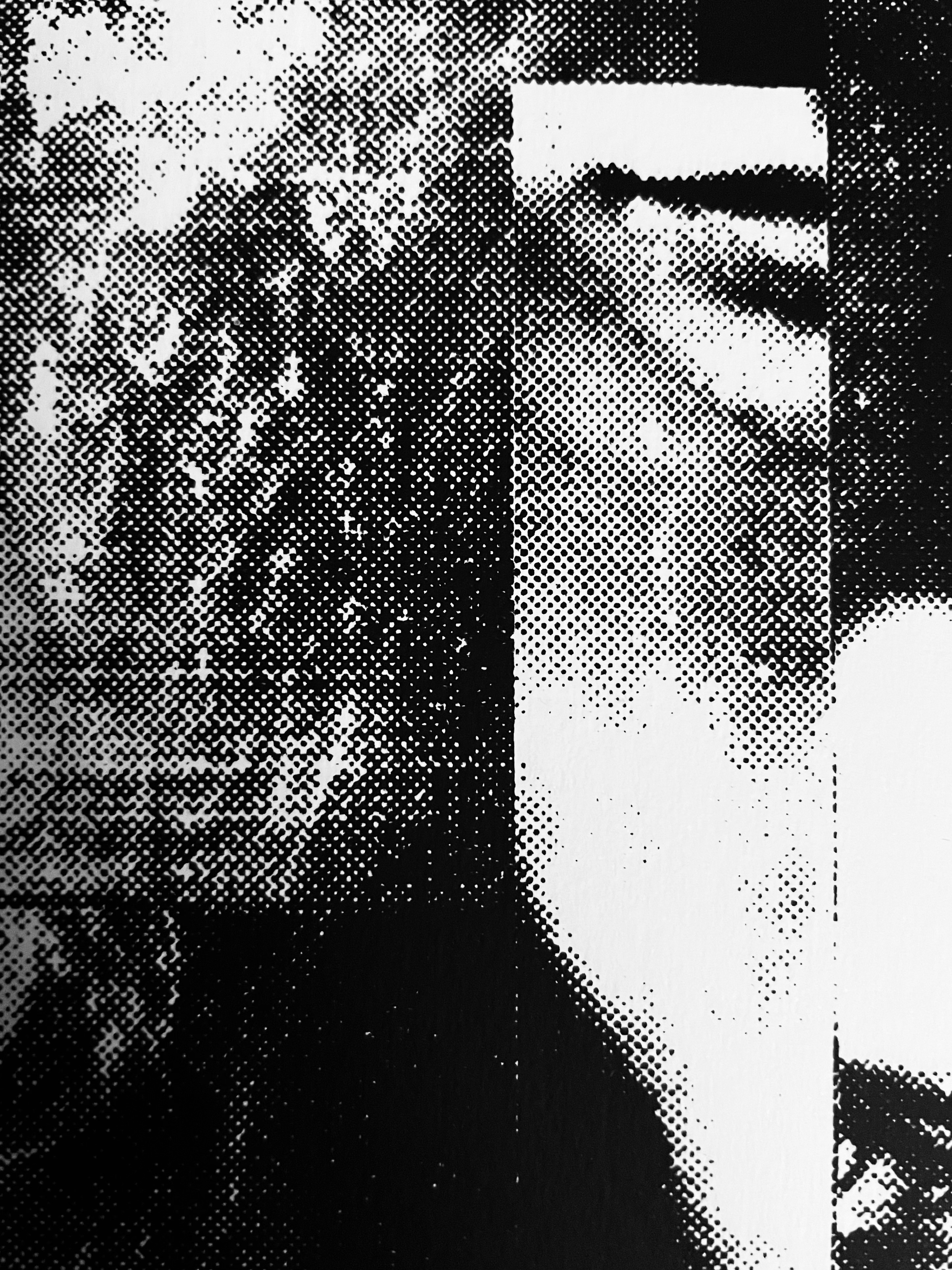 scrnprnt_dtl_001