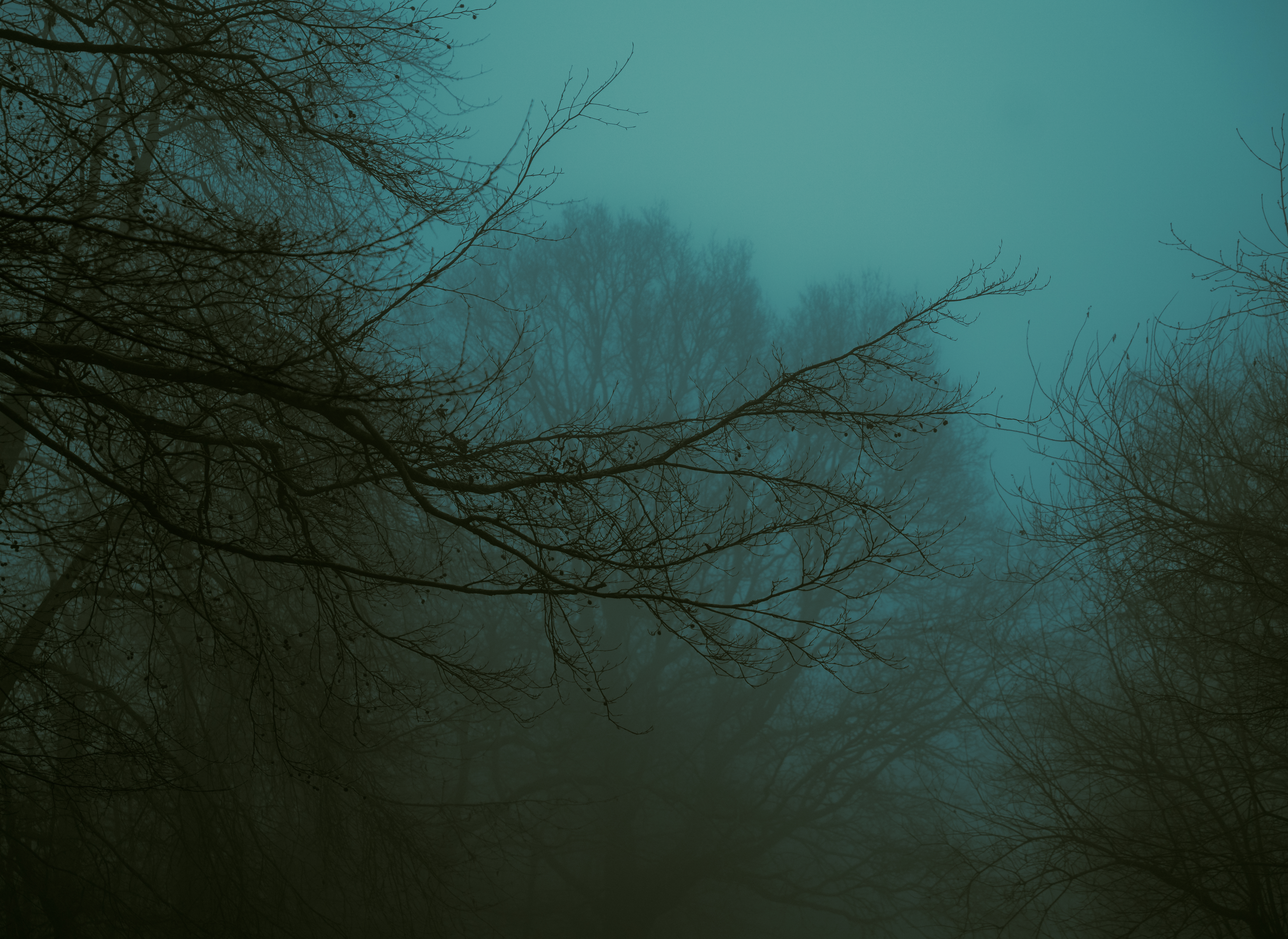 Empty branches