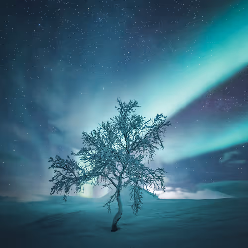 Under the northern lights 