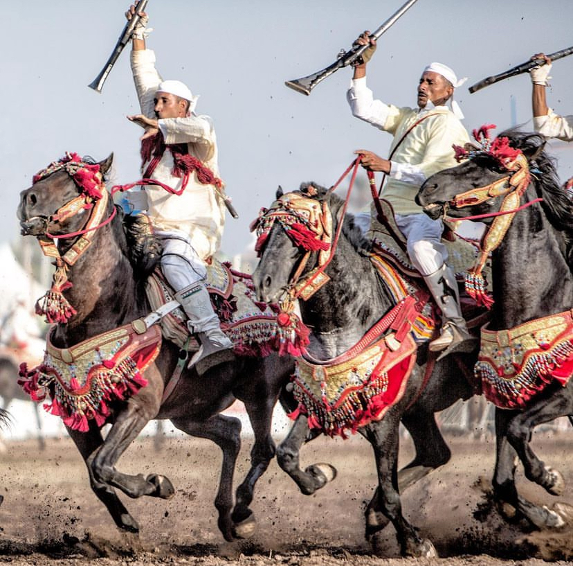 Tbourida, Moroccan horsemanship