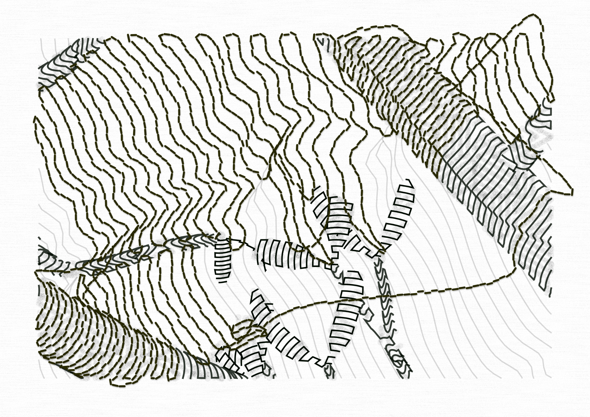 Aux Arbres #4526