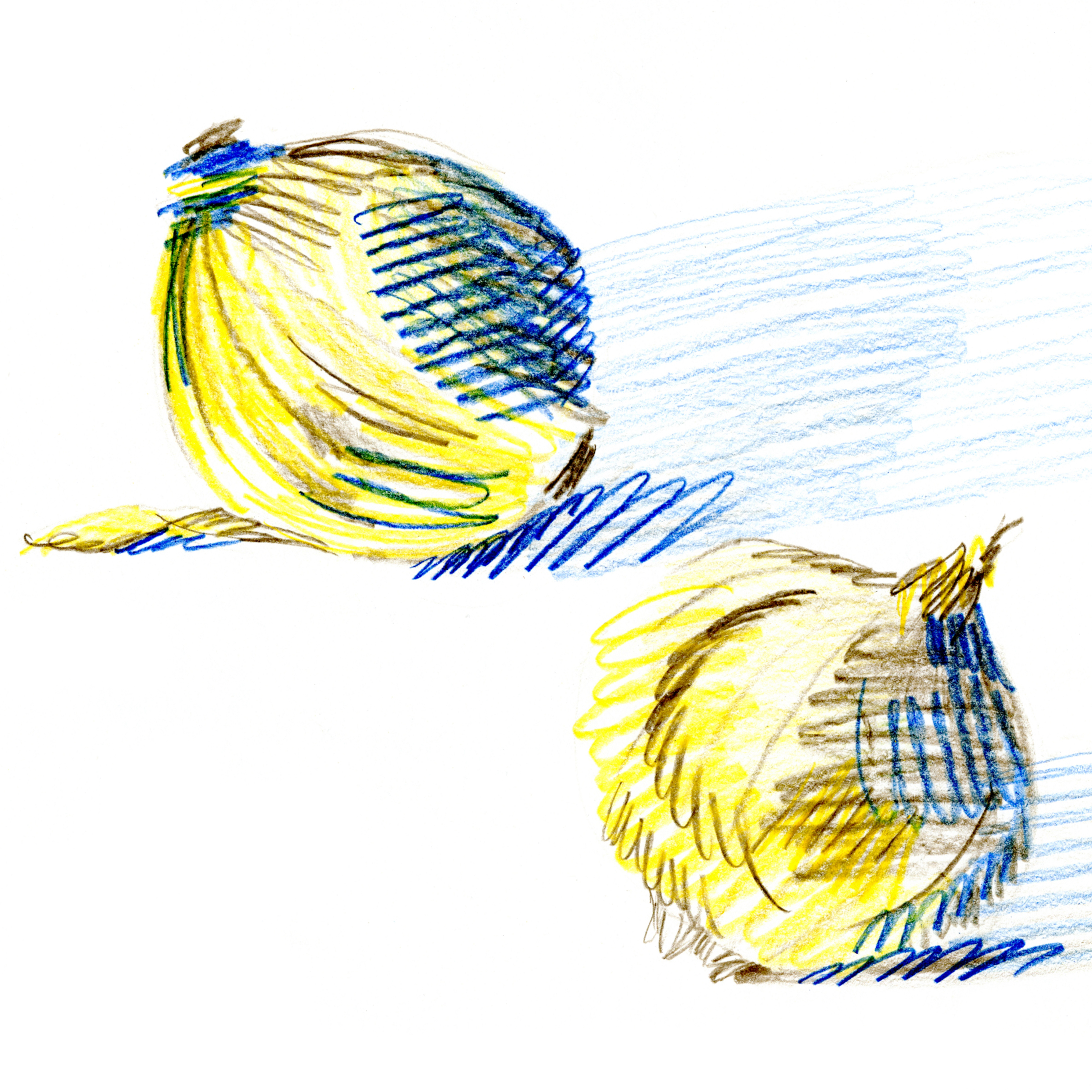 2 Primitive Onions