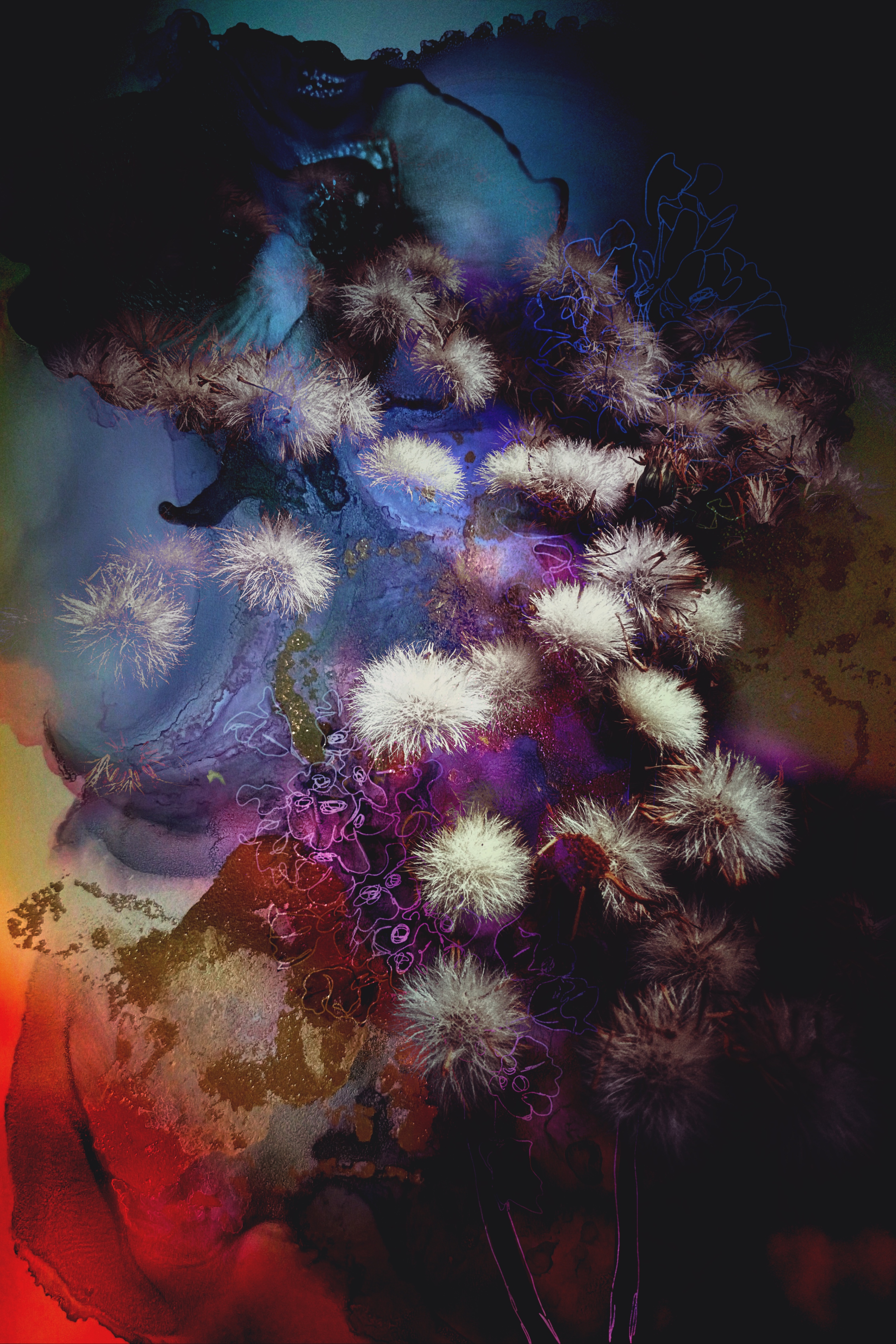 Floral Nebula