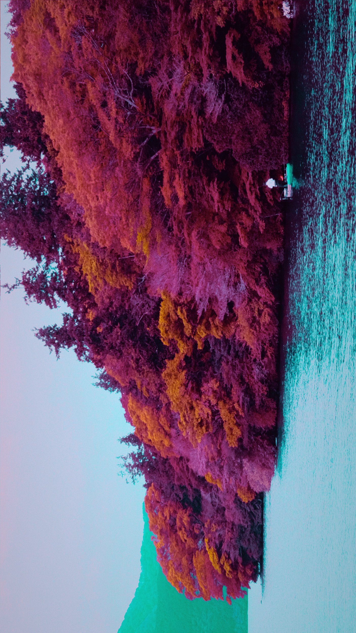 Autumn Lake