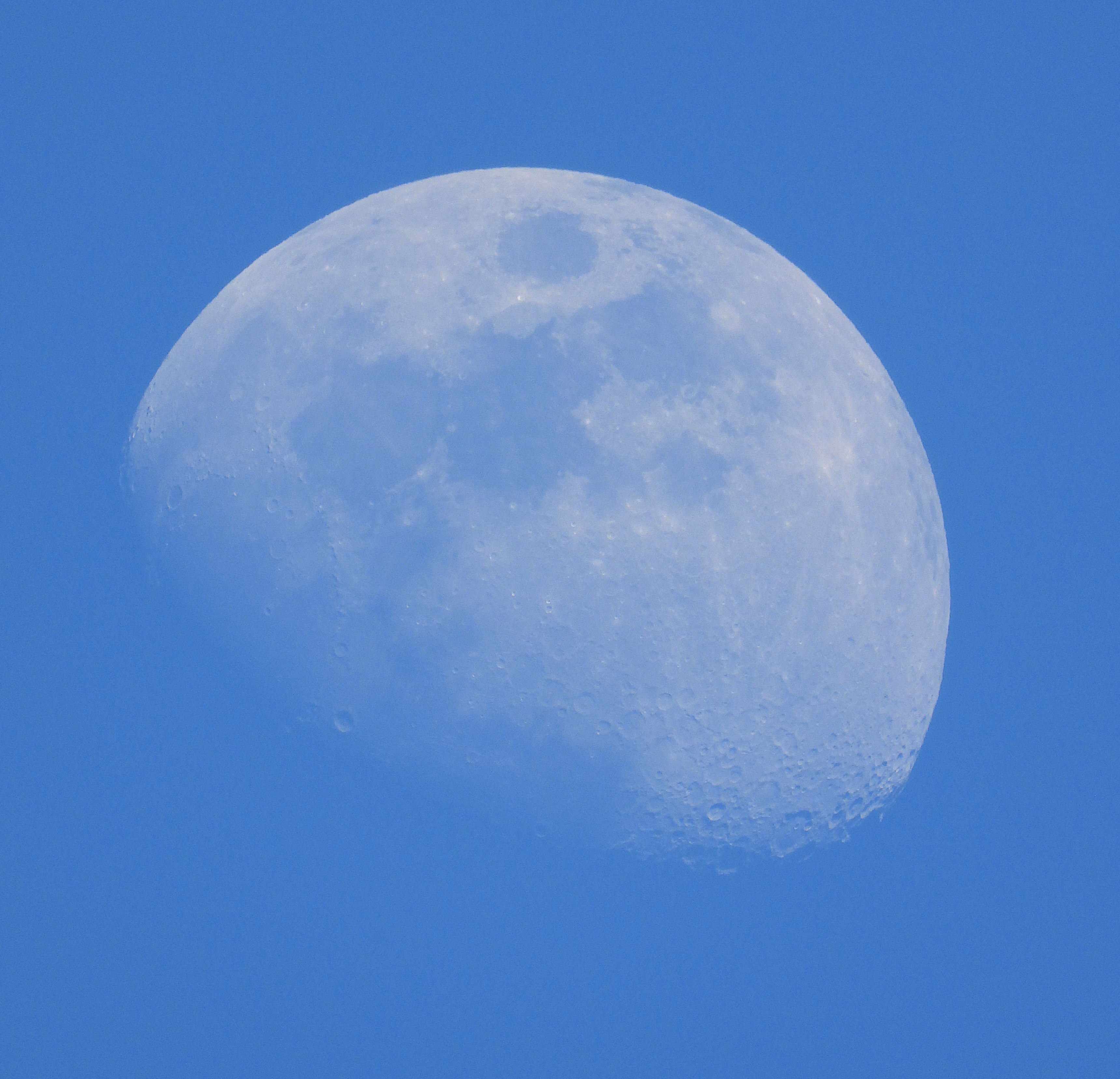DayMoon