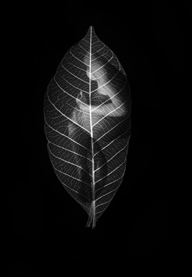 robed in beauty but without faces