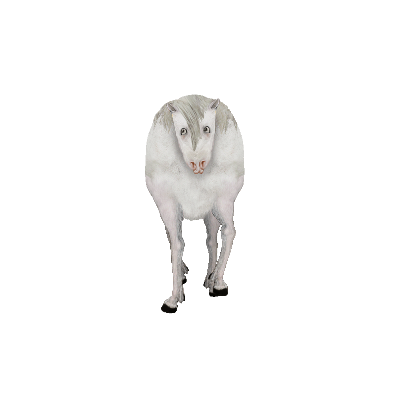 Front Horse