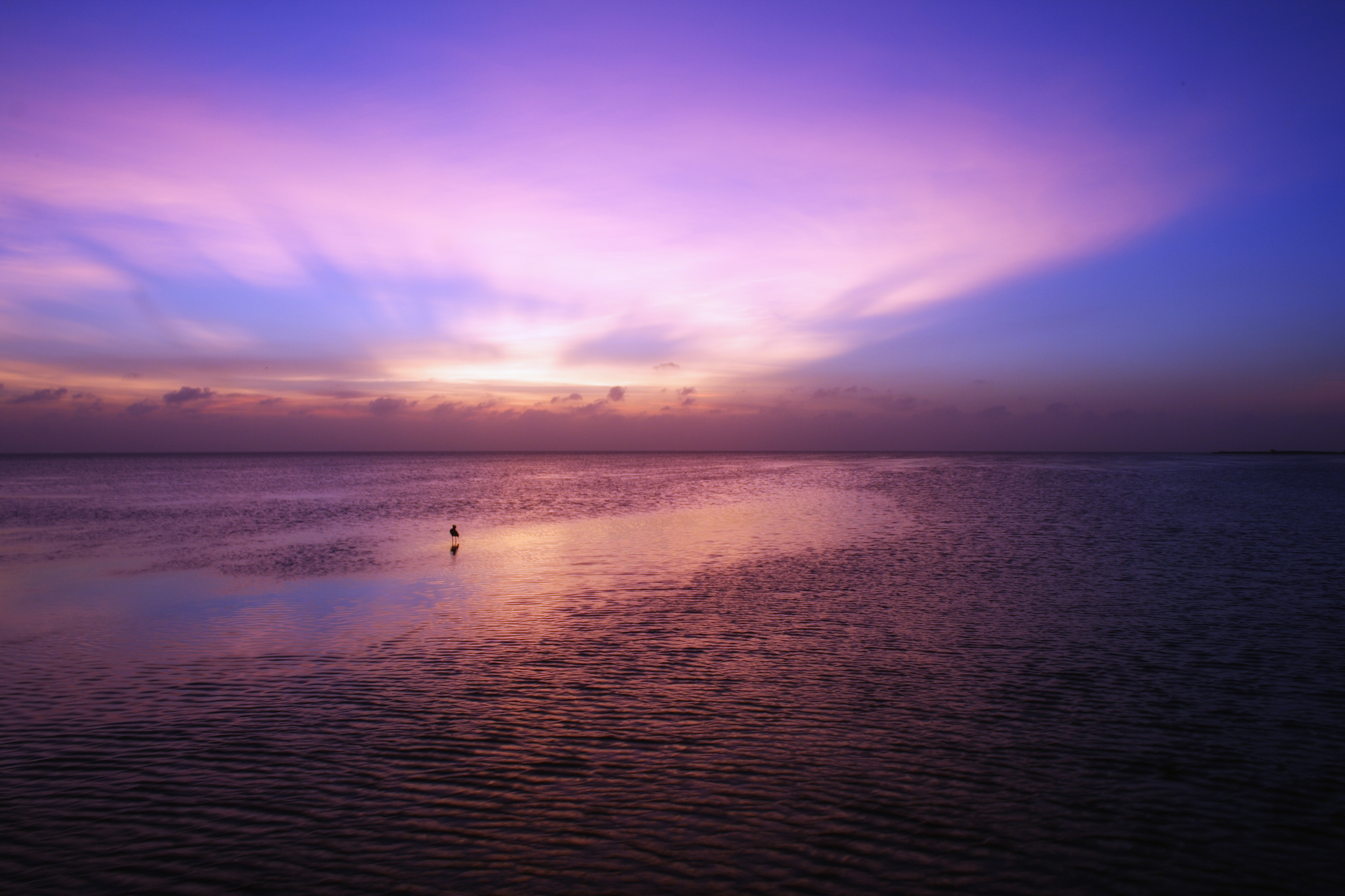 Colorful Sunset
