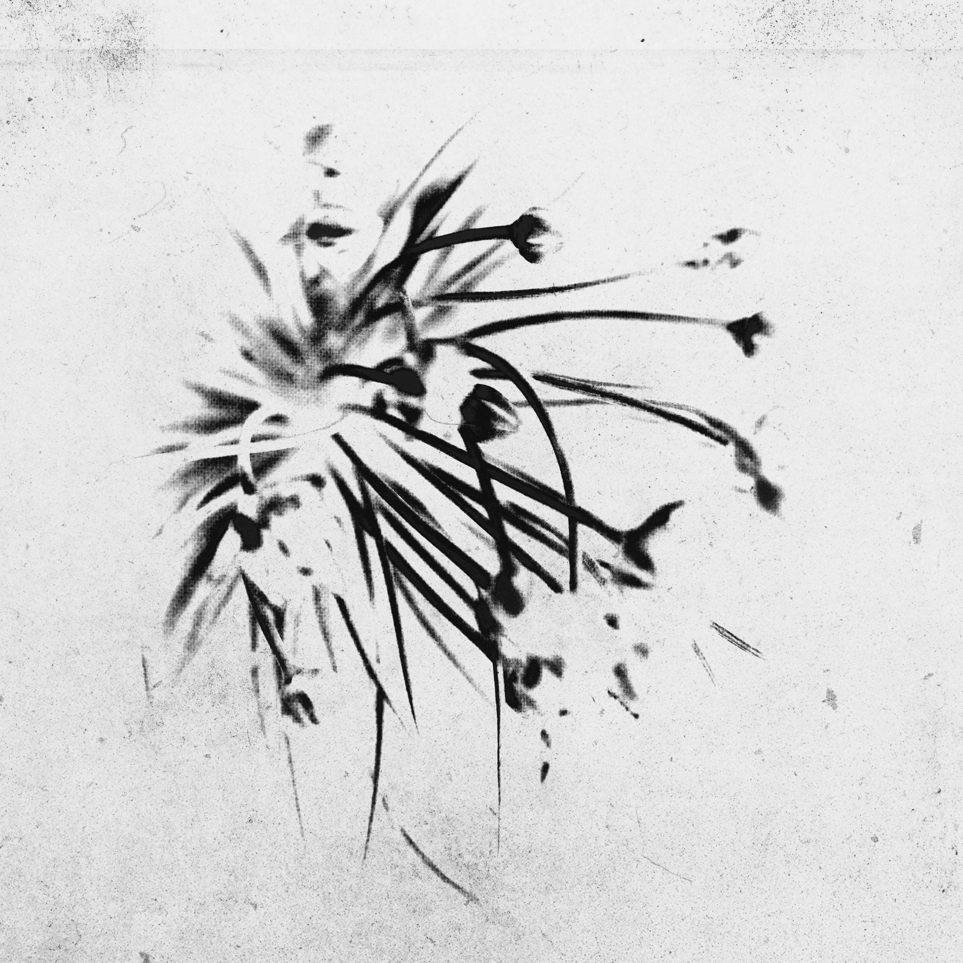 the sketch