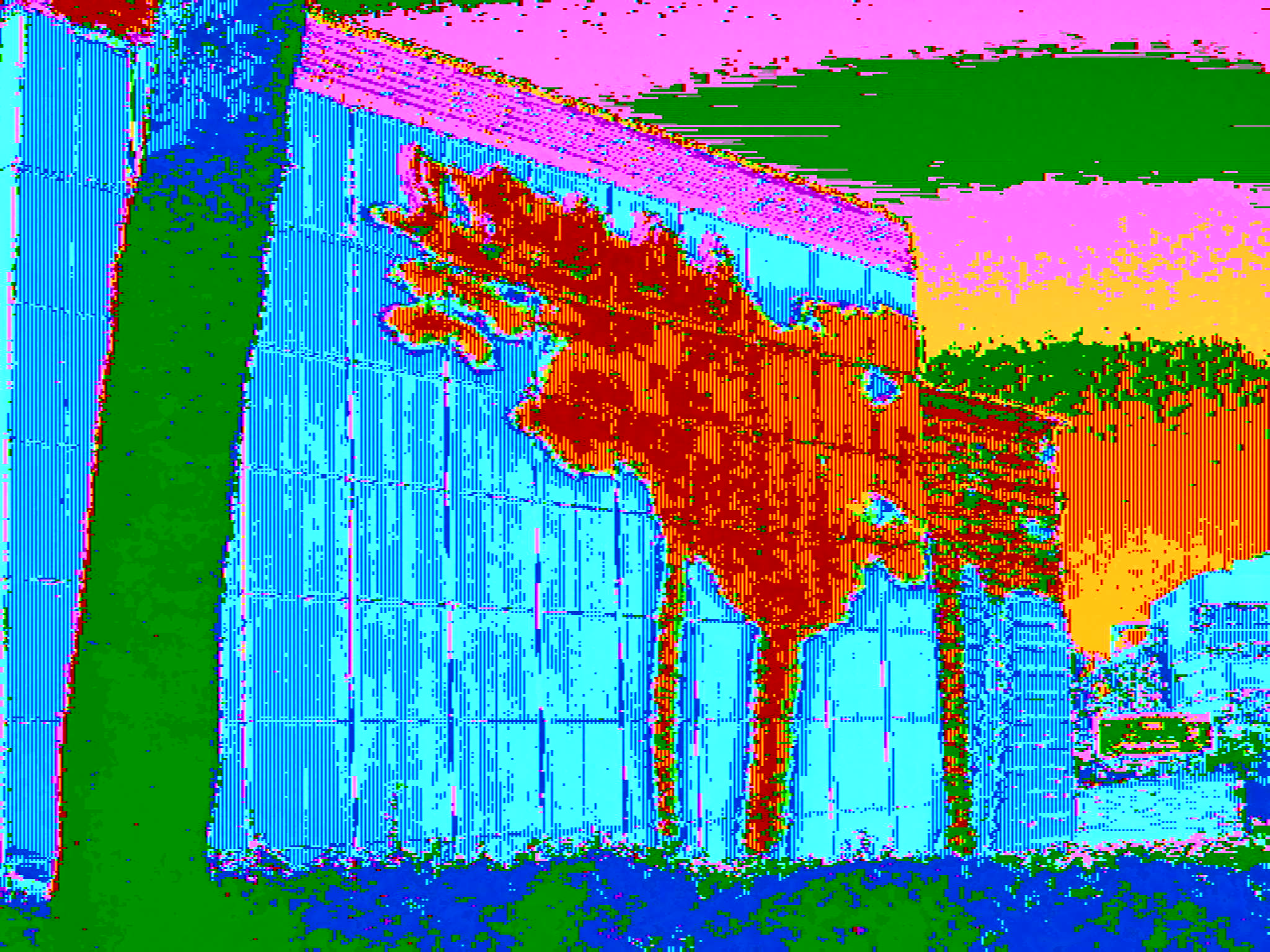Palm Tree and Shadow