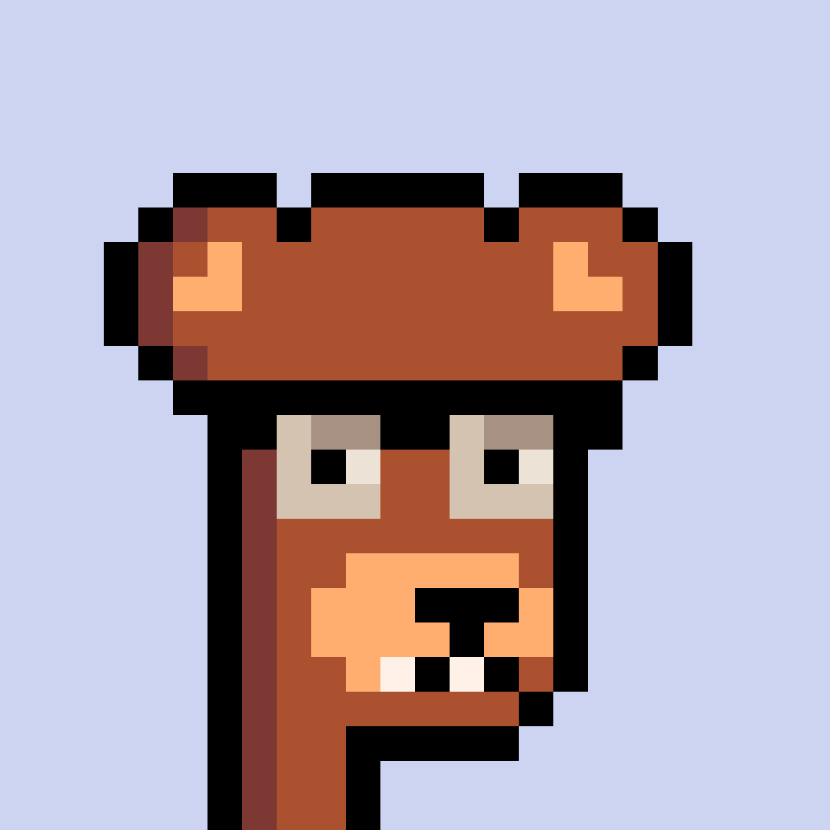 BearPunks #1207