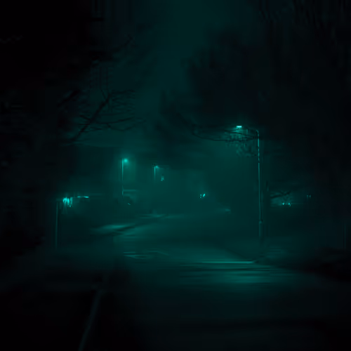 The night silence