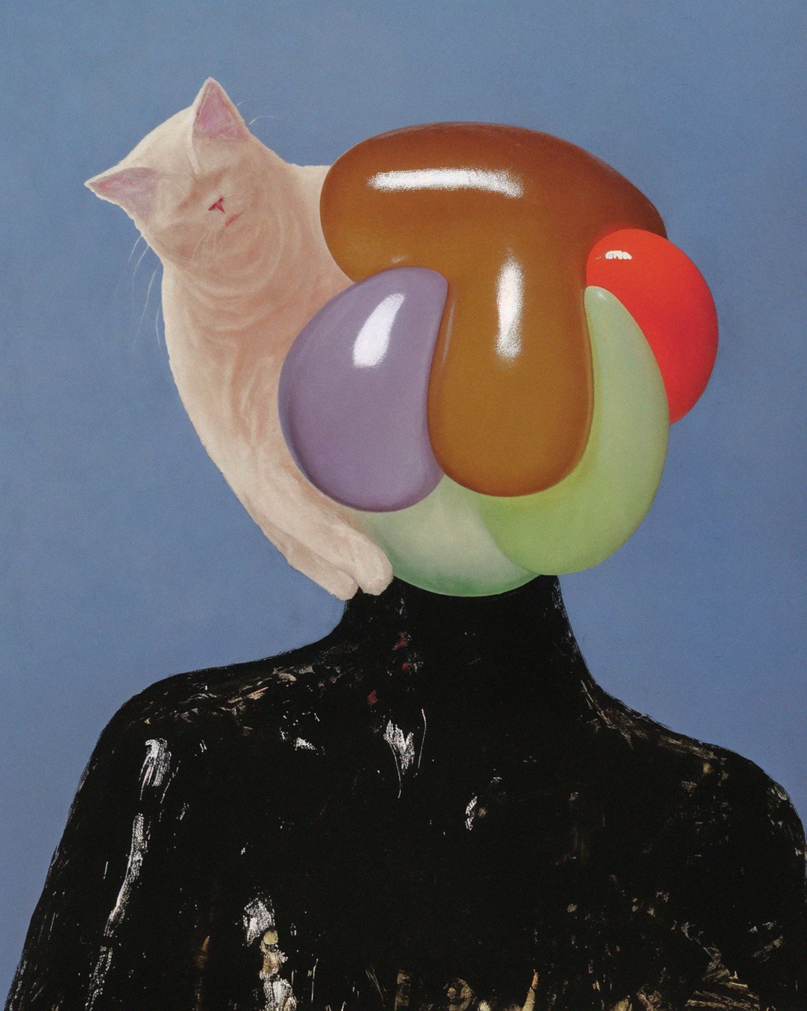 cat on my head