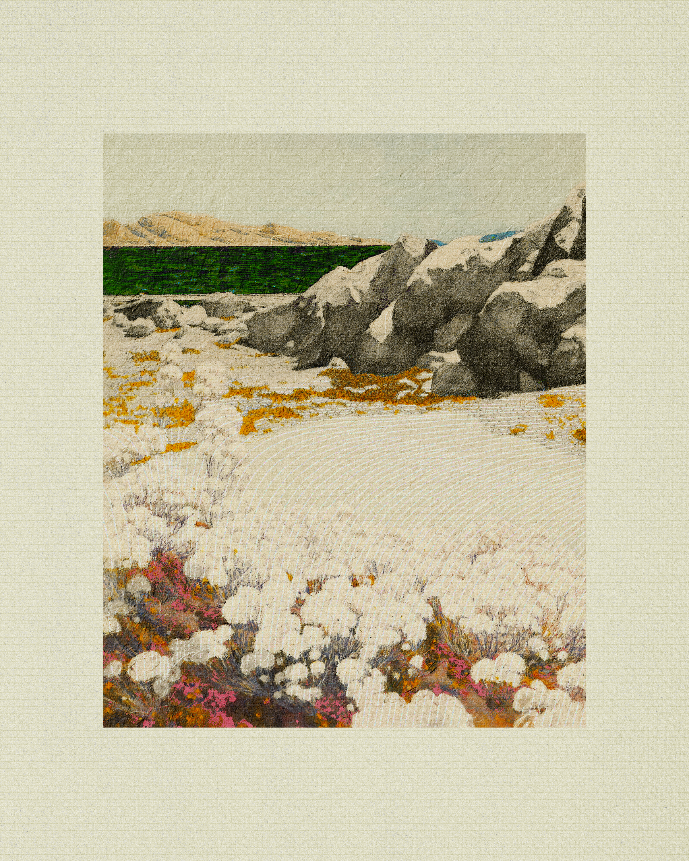 Coast #71