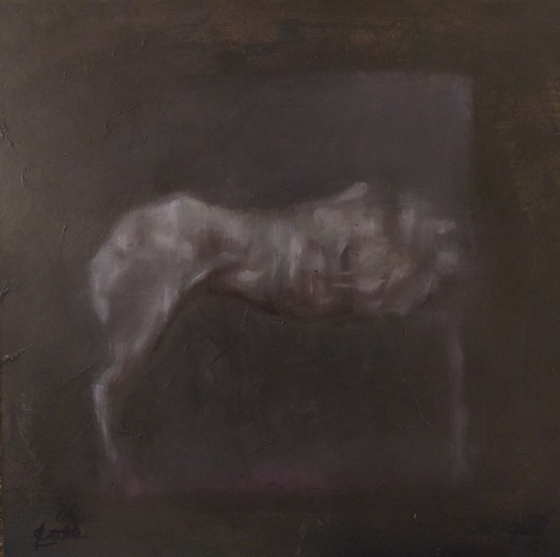 Not Horse