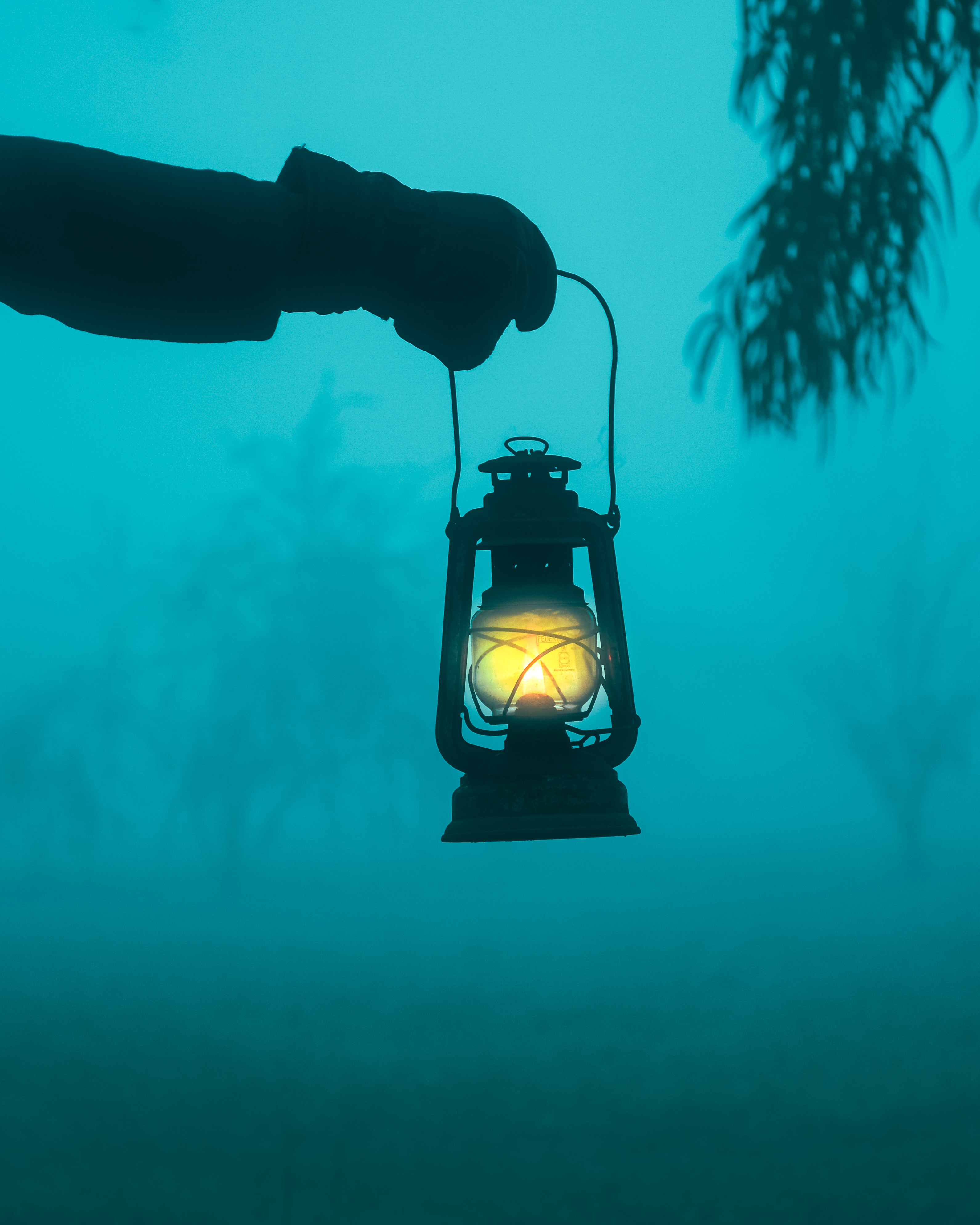 Follow the Light 