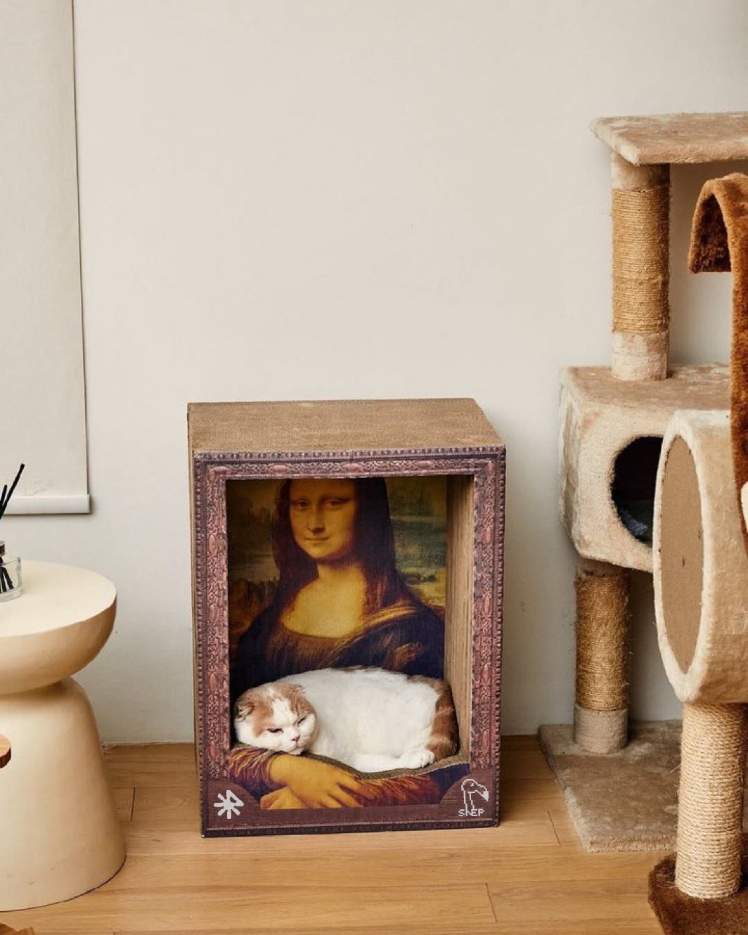 Italian Lady WIF Cat