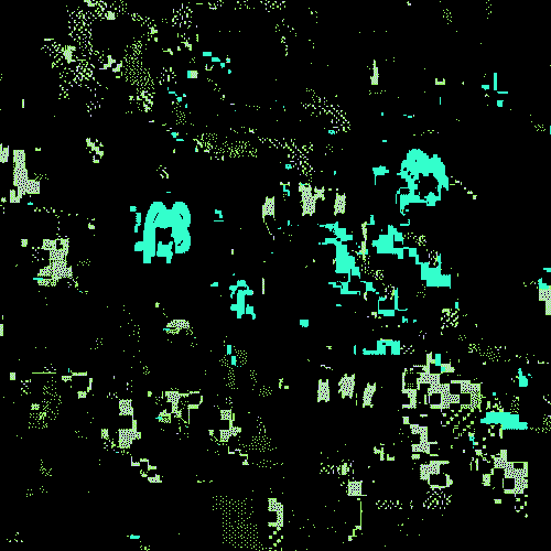BOT ROT