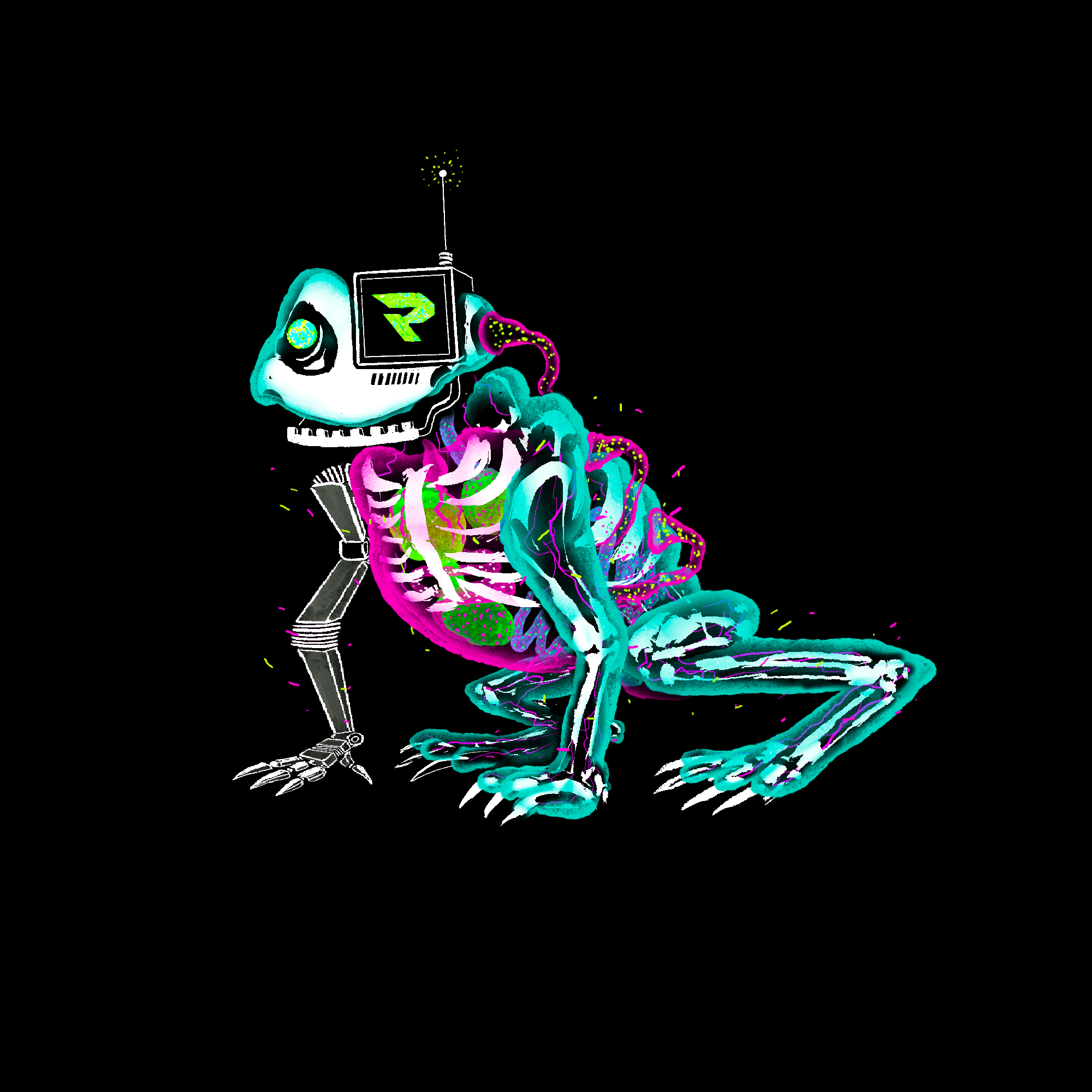 Manibot-XYZ Frog