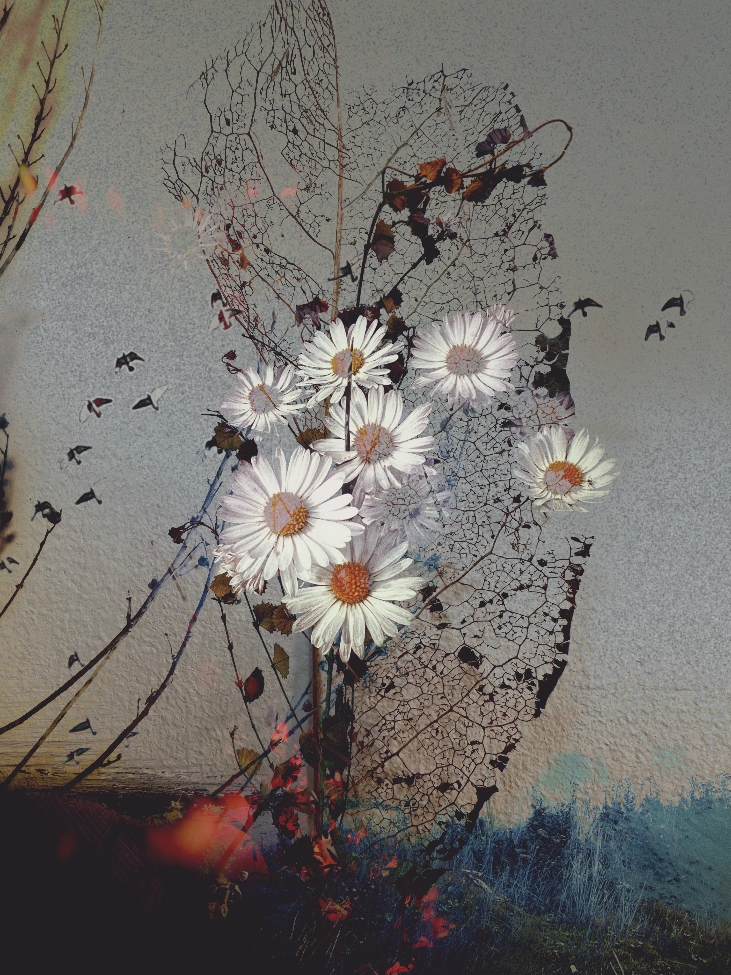Where Florals Dare #33