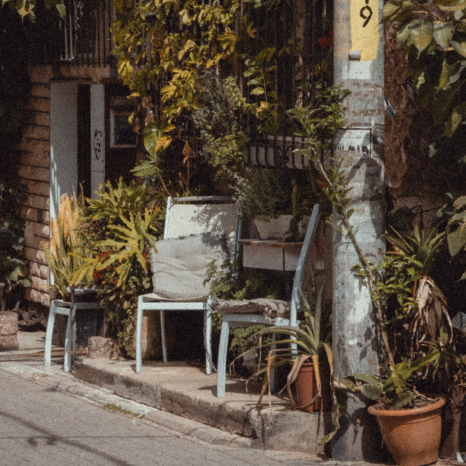 Urban Jungle #15