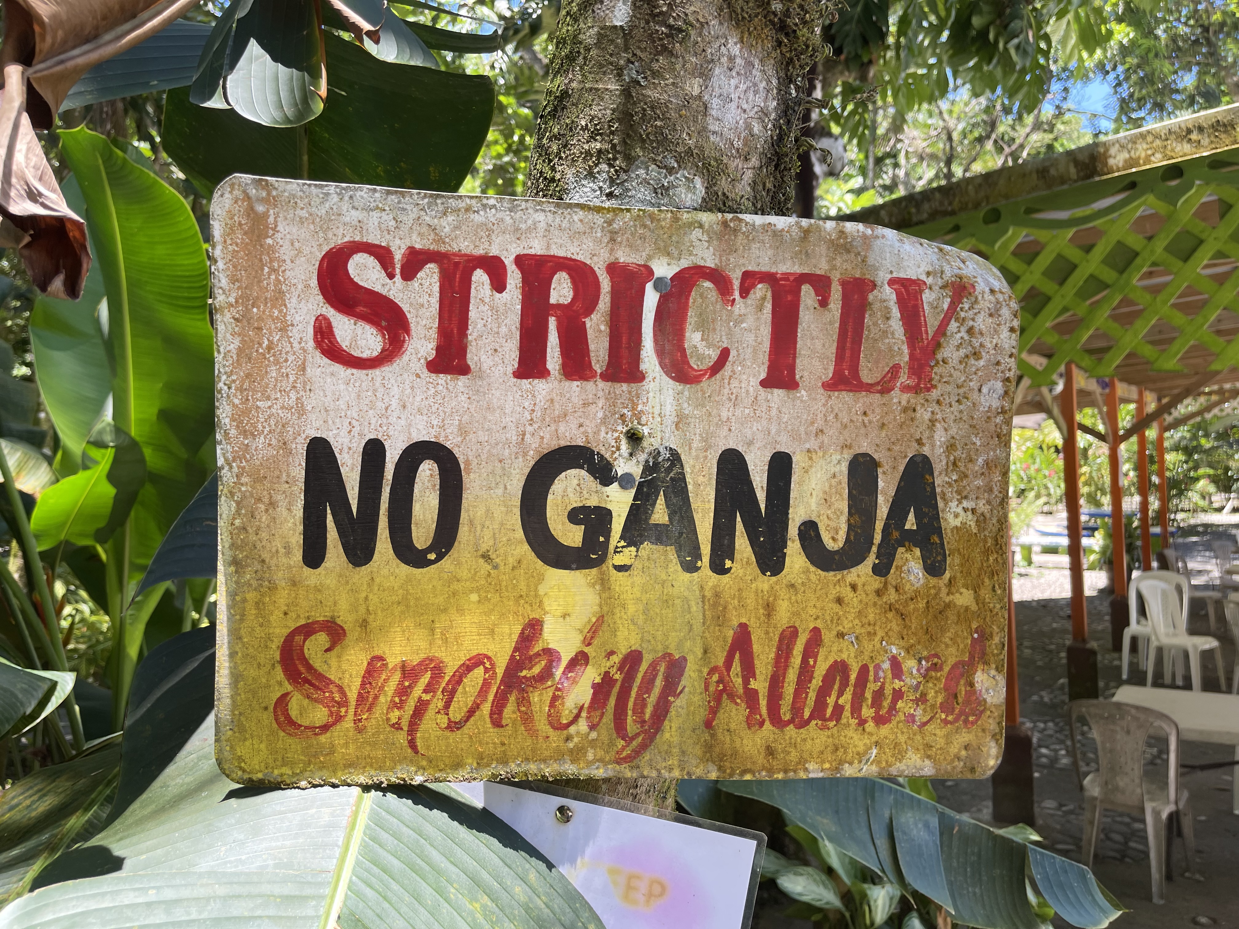 no ganja smoking 🤷‍♂️