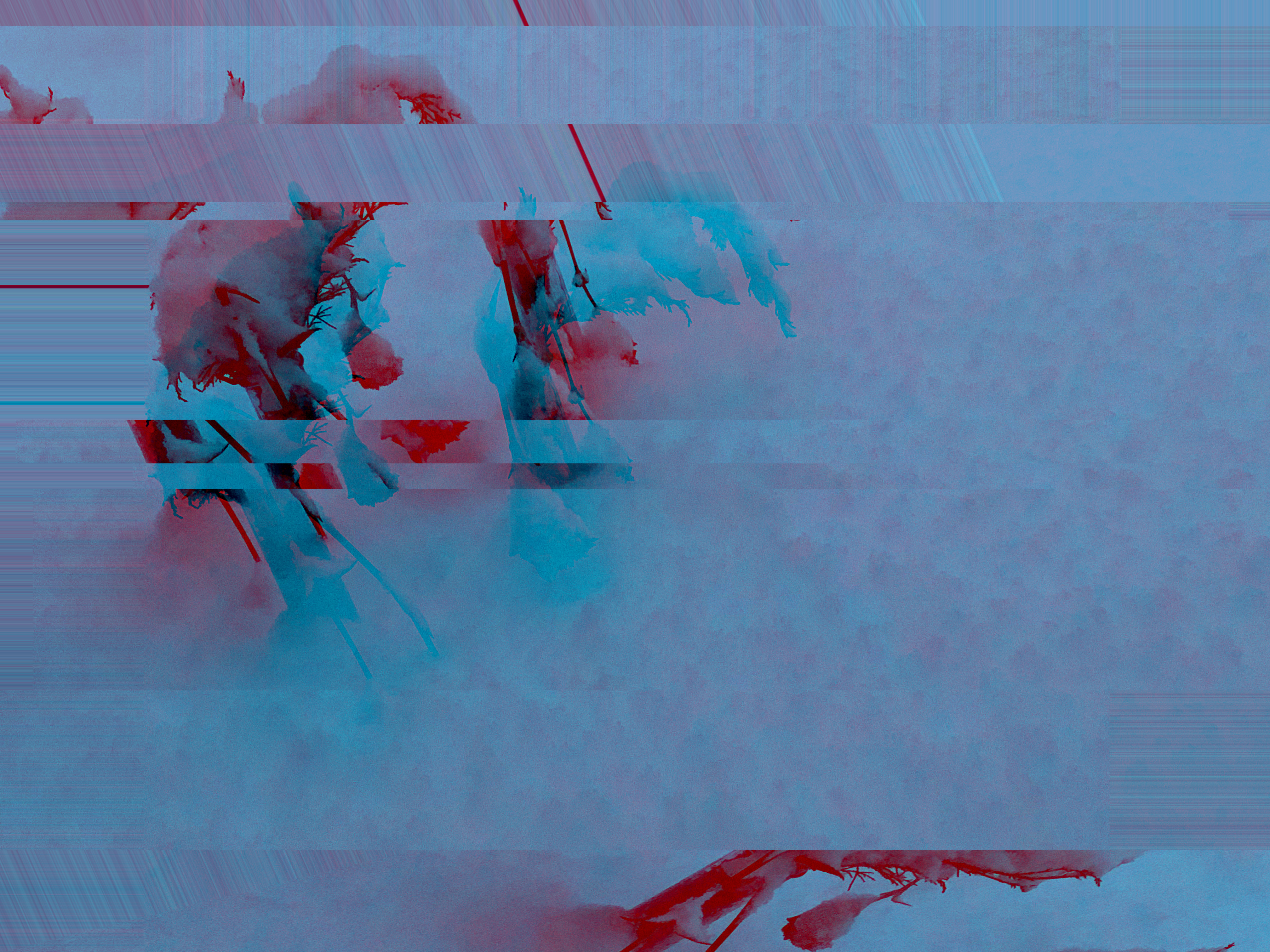 dried flowers snow glitch