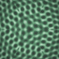 FlowSigil #355