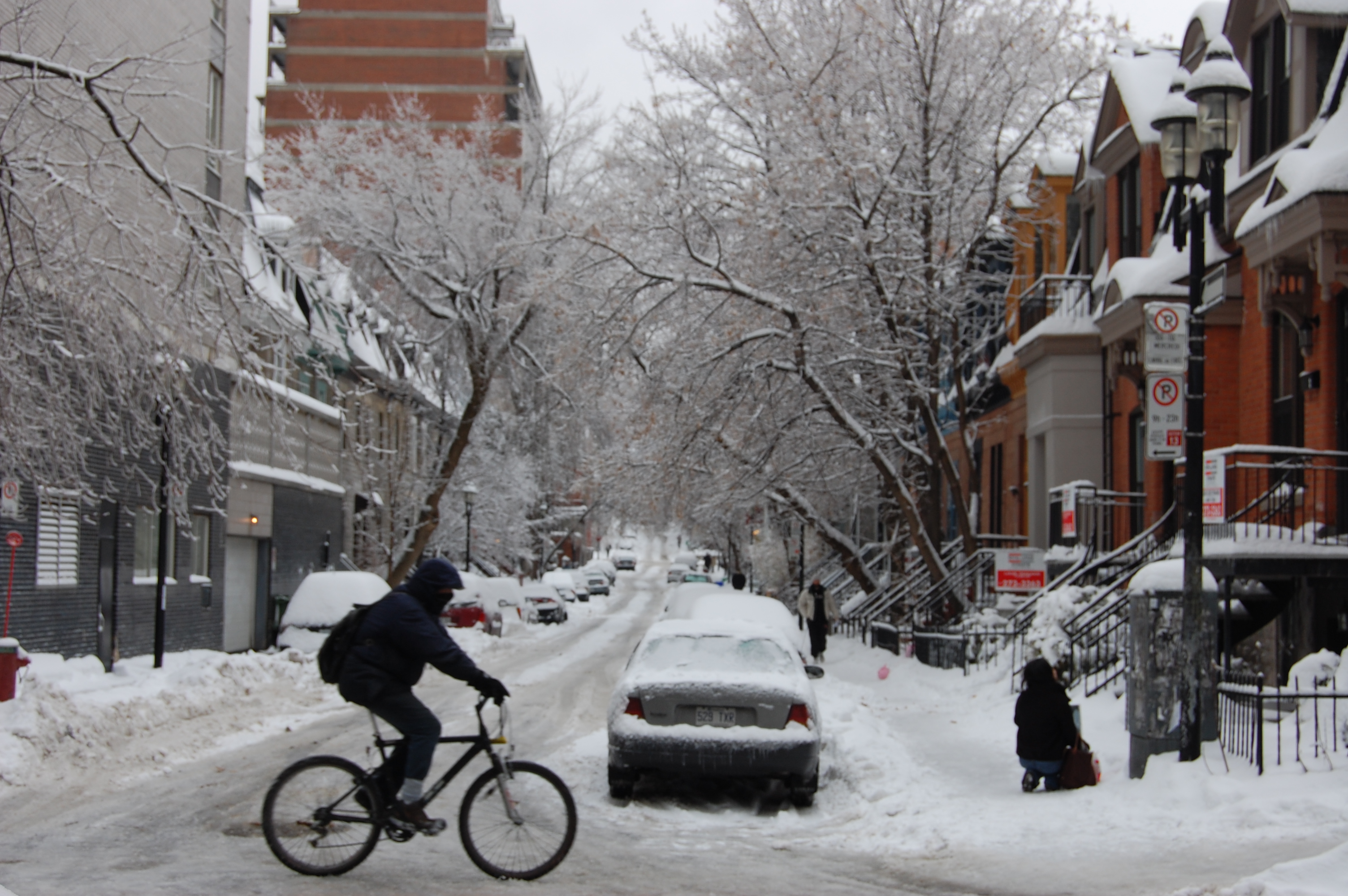 Montreal in the Snow