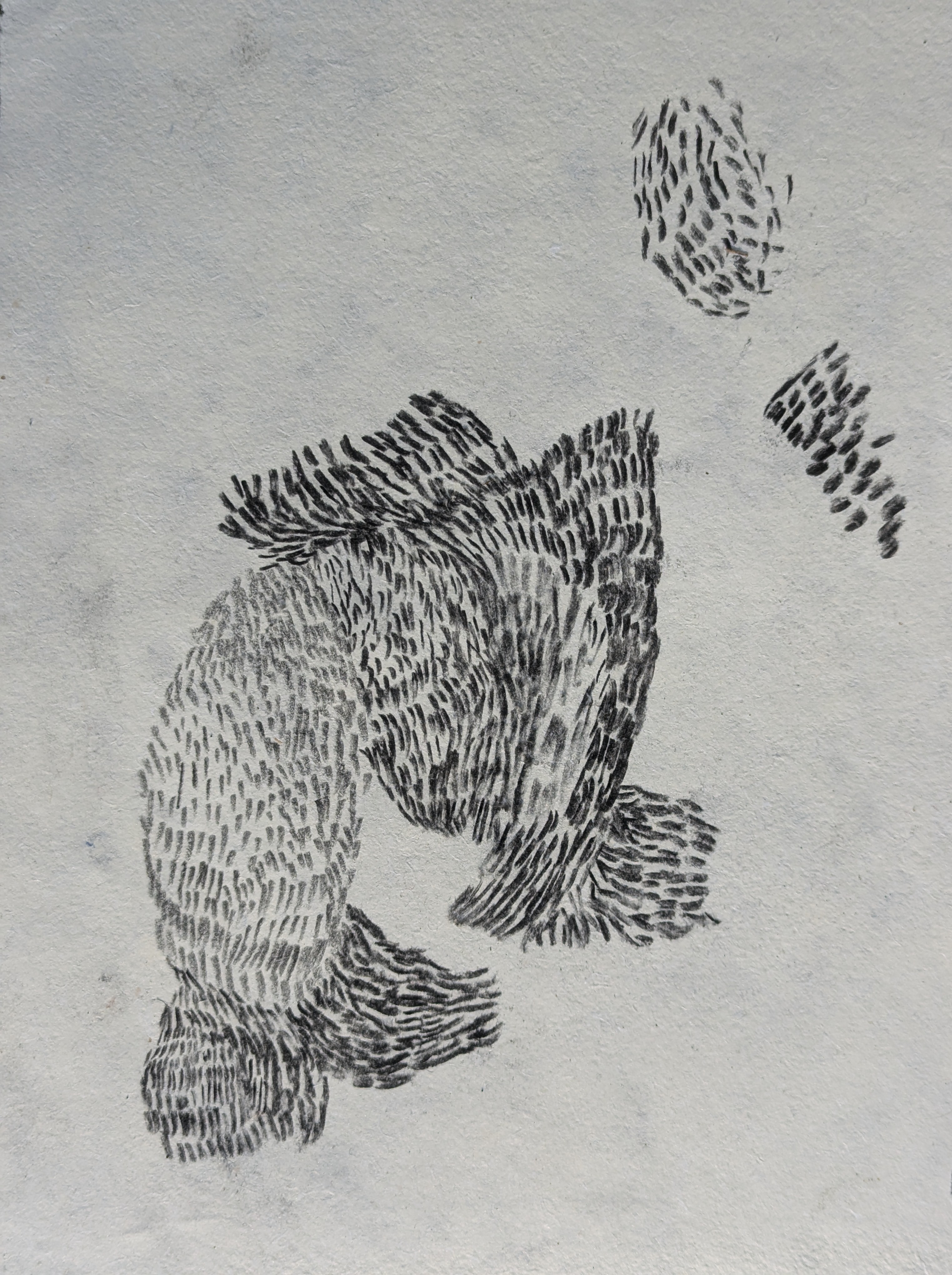 Roughs II. 310724_01-ORIGIN