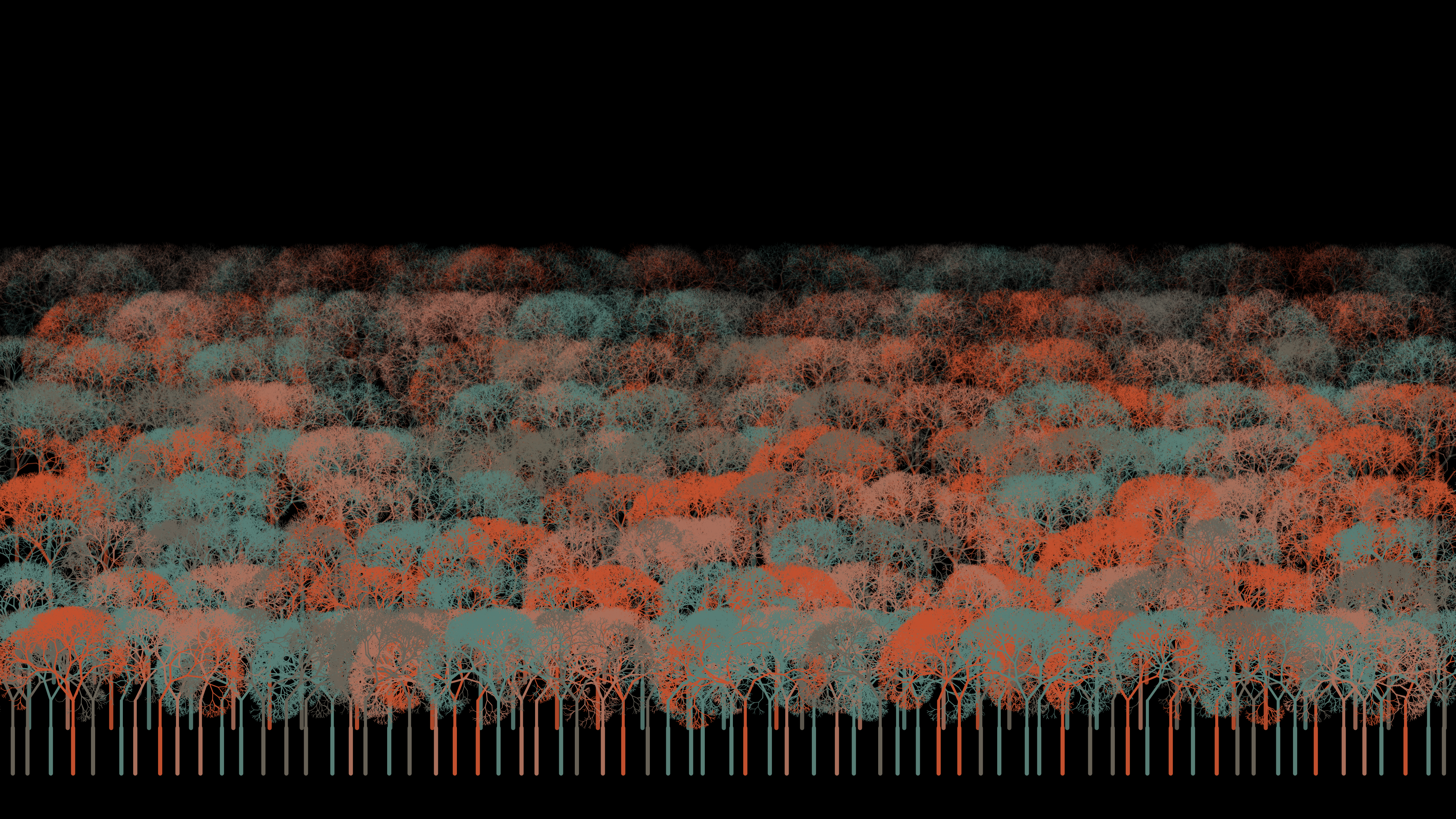 basedFOREST 35