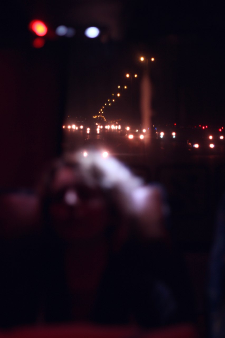 The traveler #87