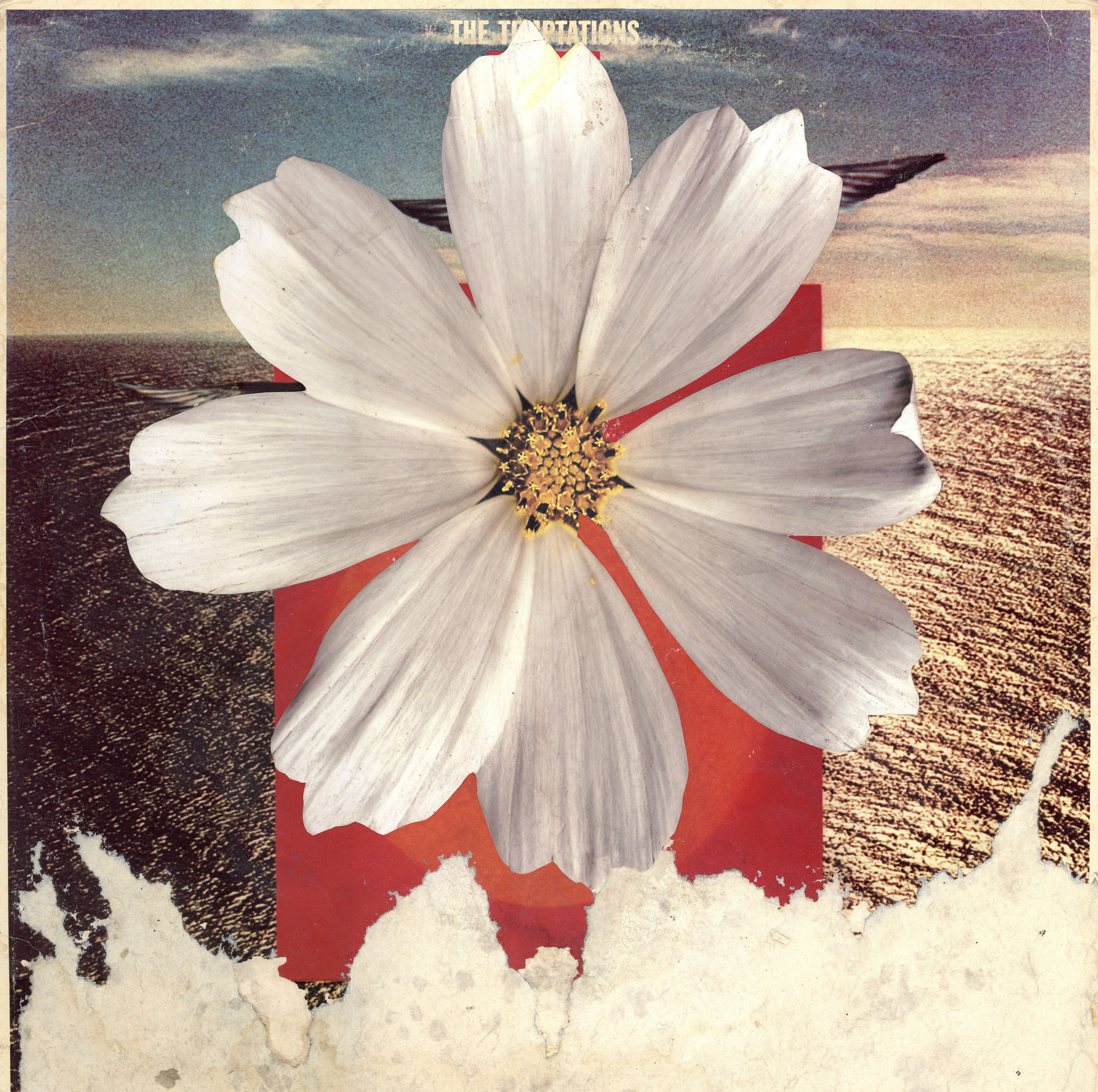 Record cover #0800