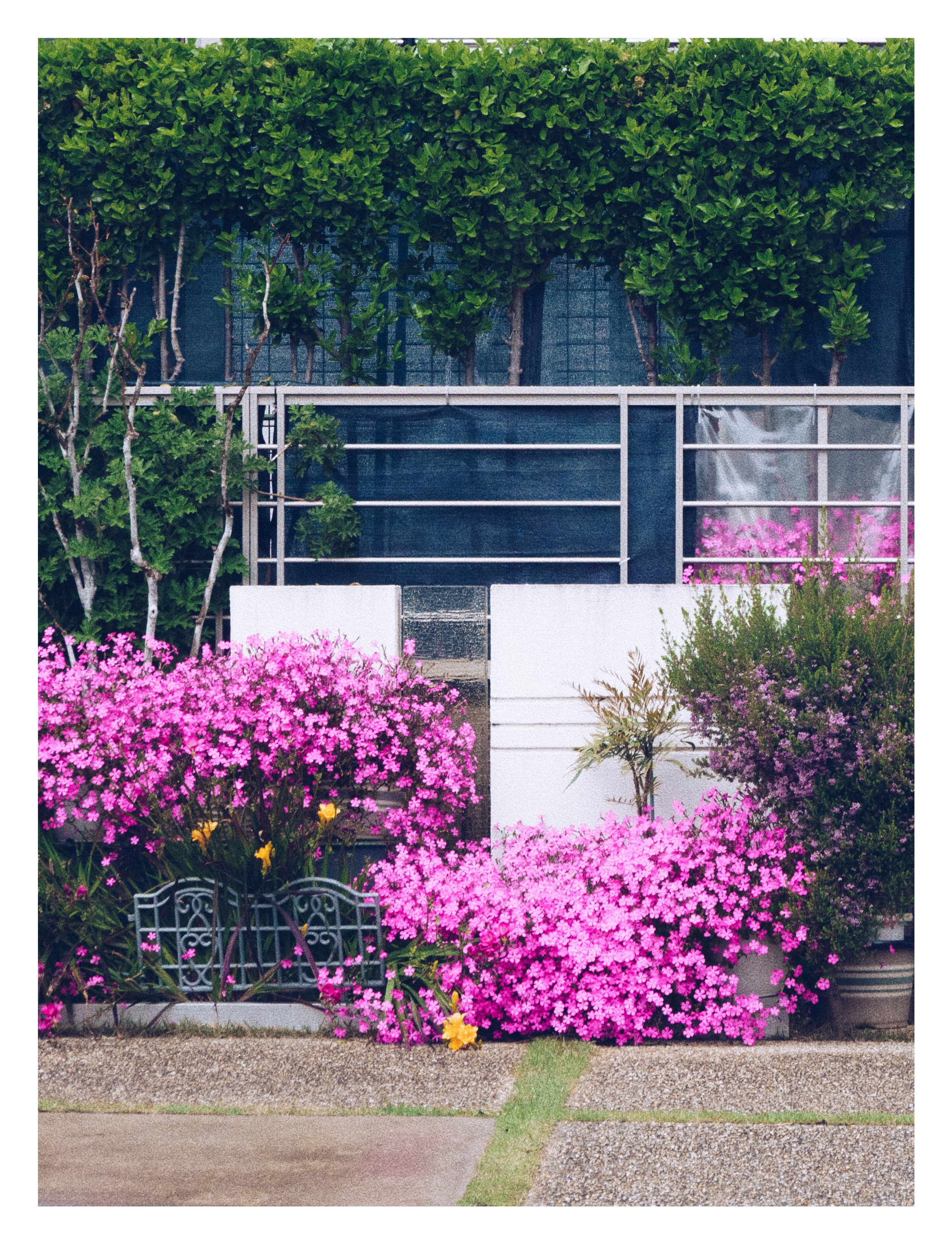 Banalography #011