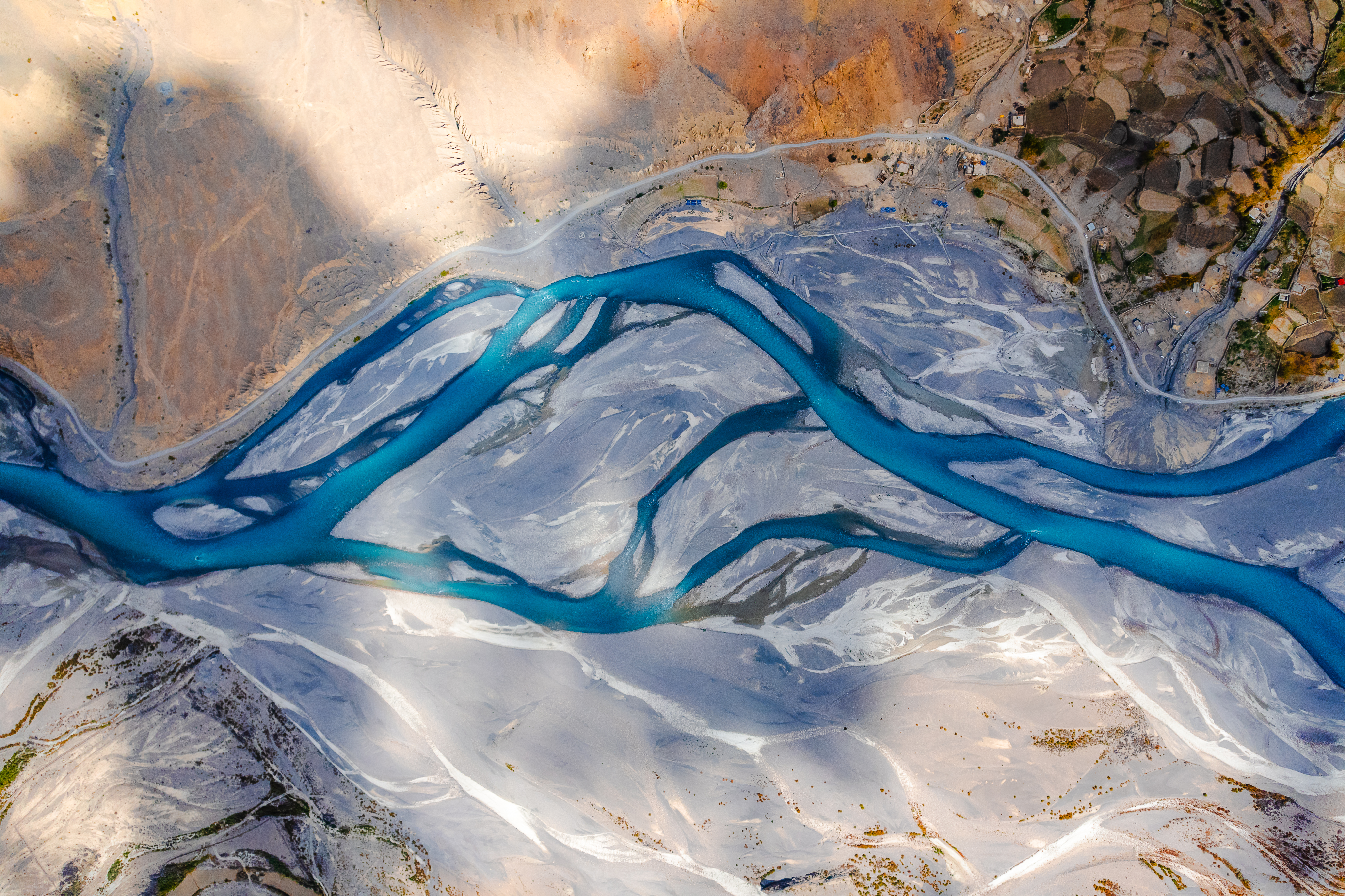 Nature's Abstract art #5