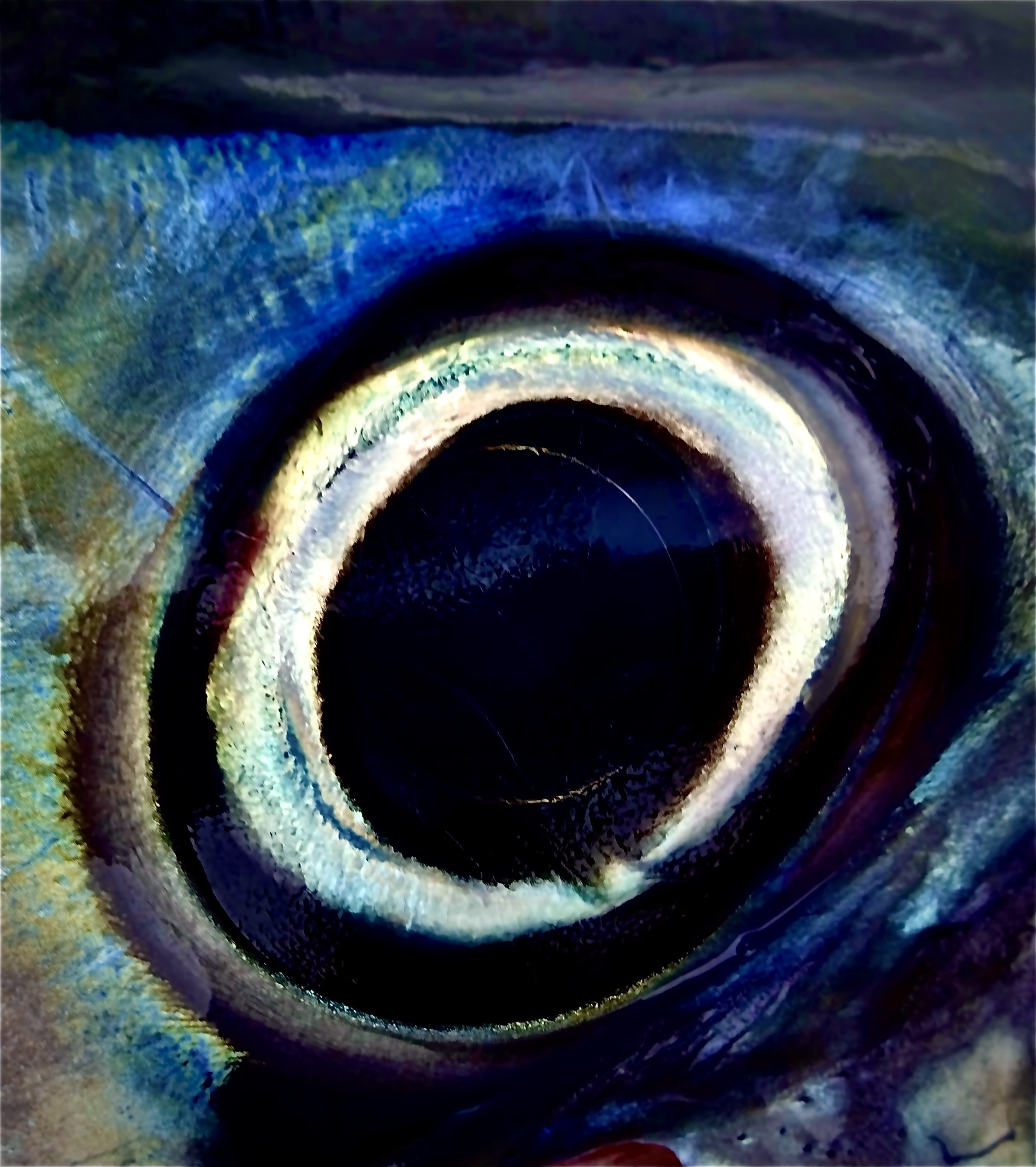 EYE OF MAGURO